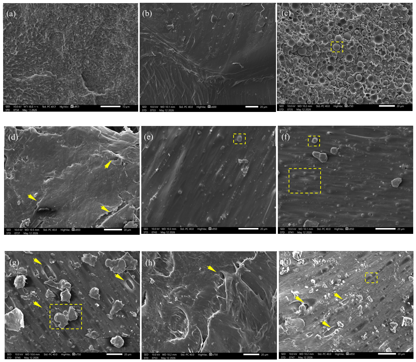 Rheology-Engineered PHB/PBAT/MgO Biodegradable Nanocomposites for