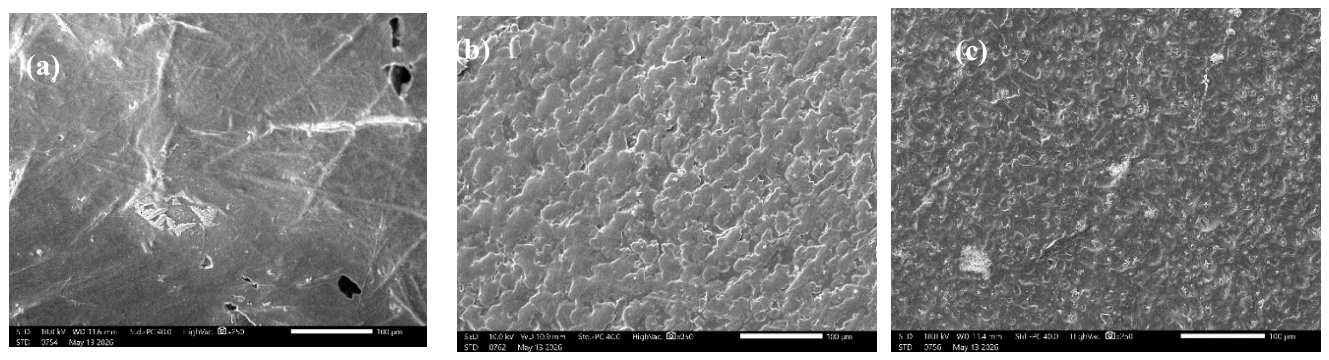 Rheology-Engineered PHB/PBAT/MgO Biodegradable Nanocomposites for