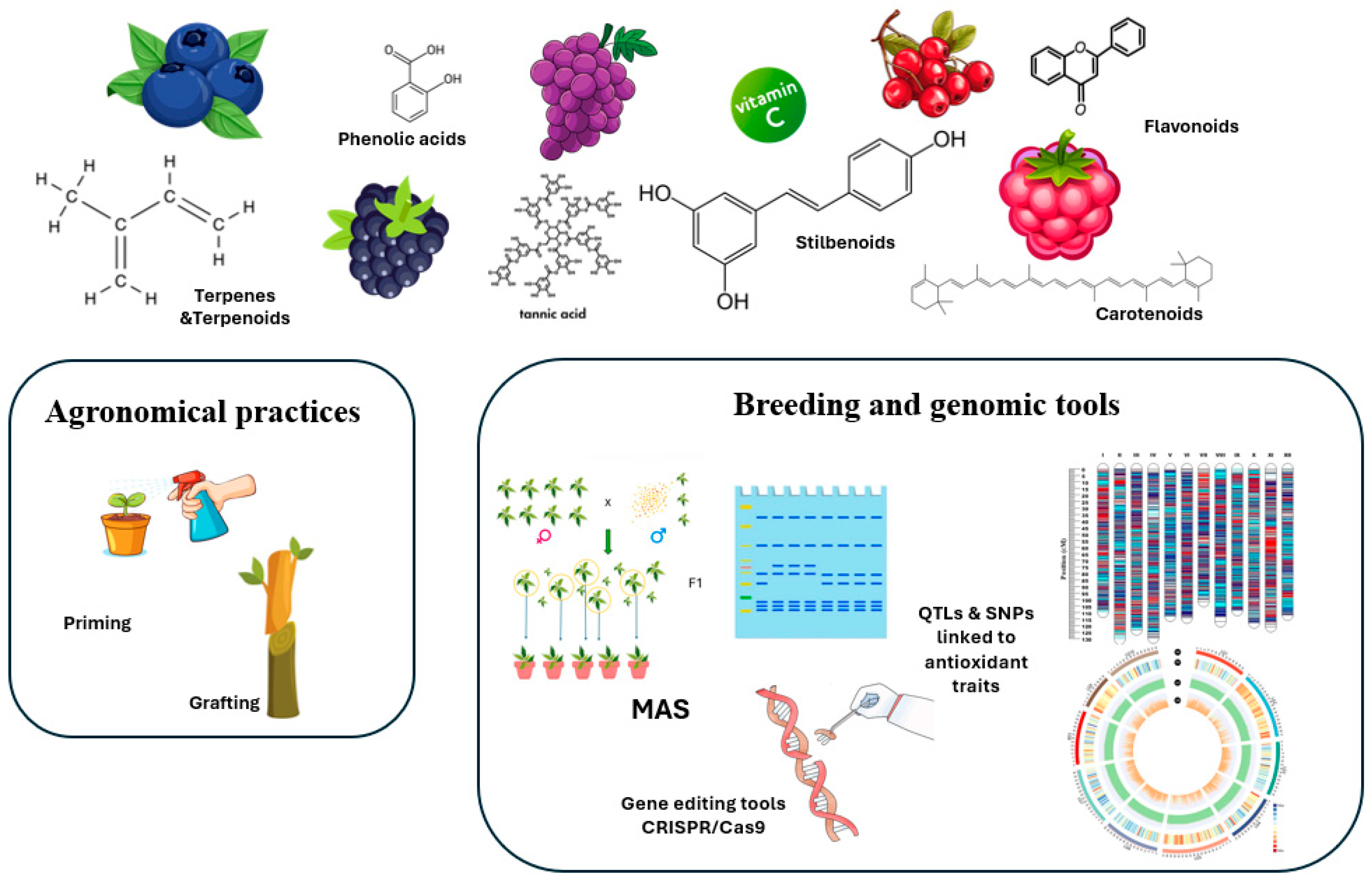 Preprints 178968 g001