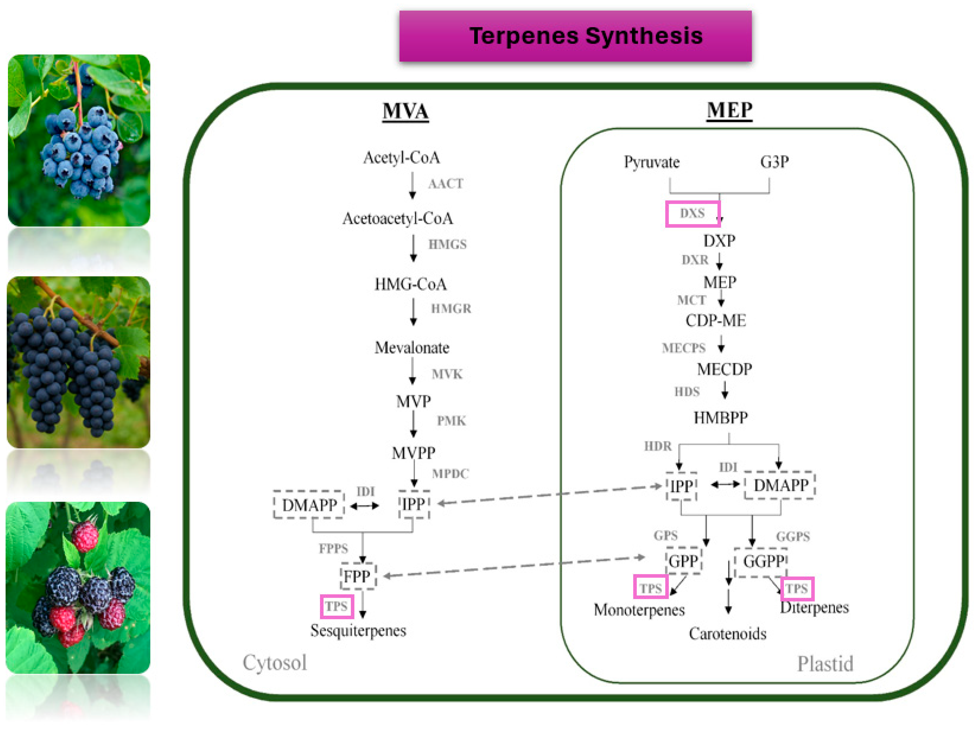 Preprints 178968 g002