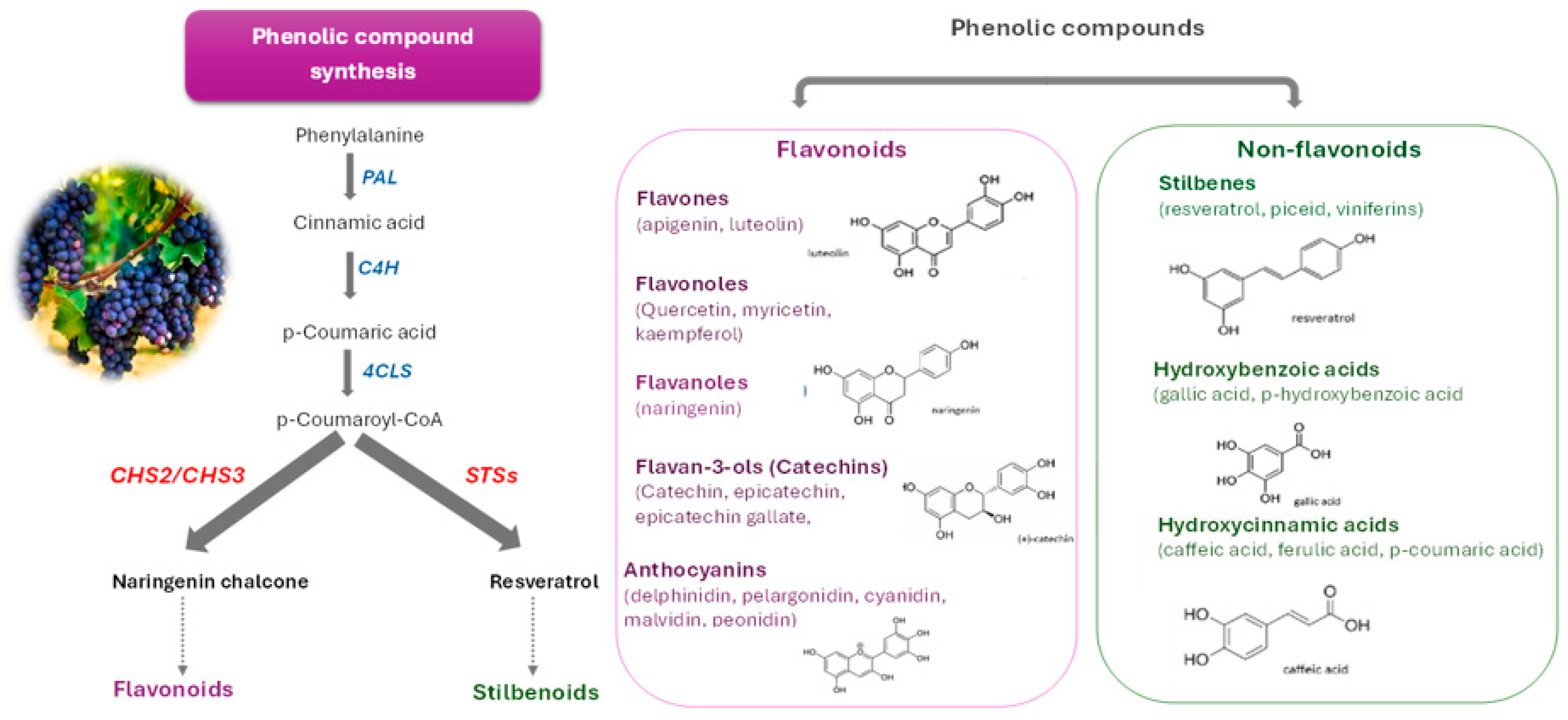 Preprints 178968 g003