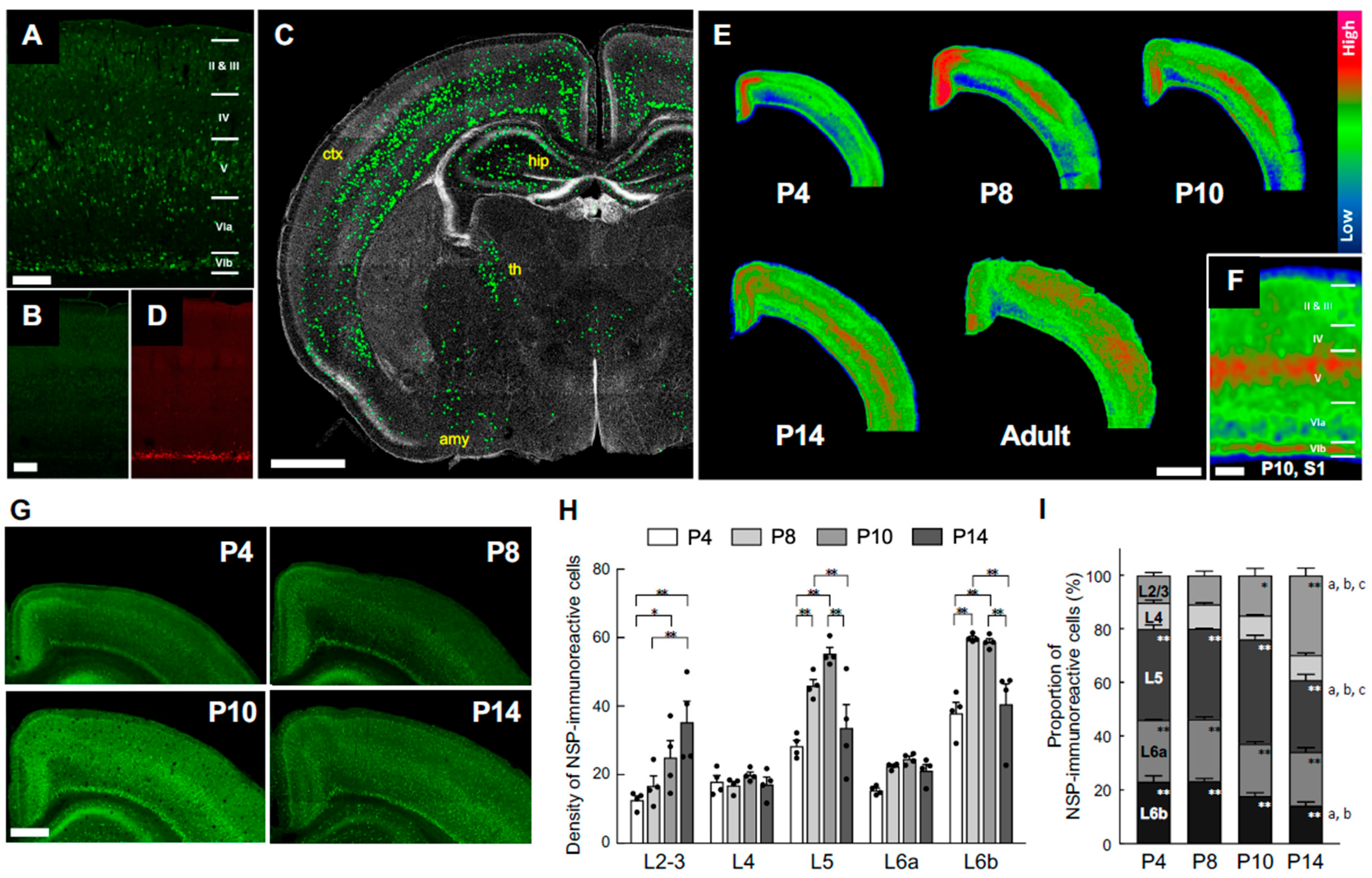 Preprints 166617 g001