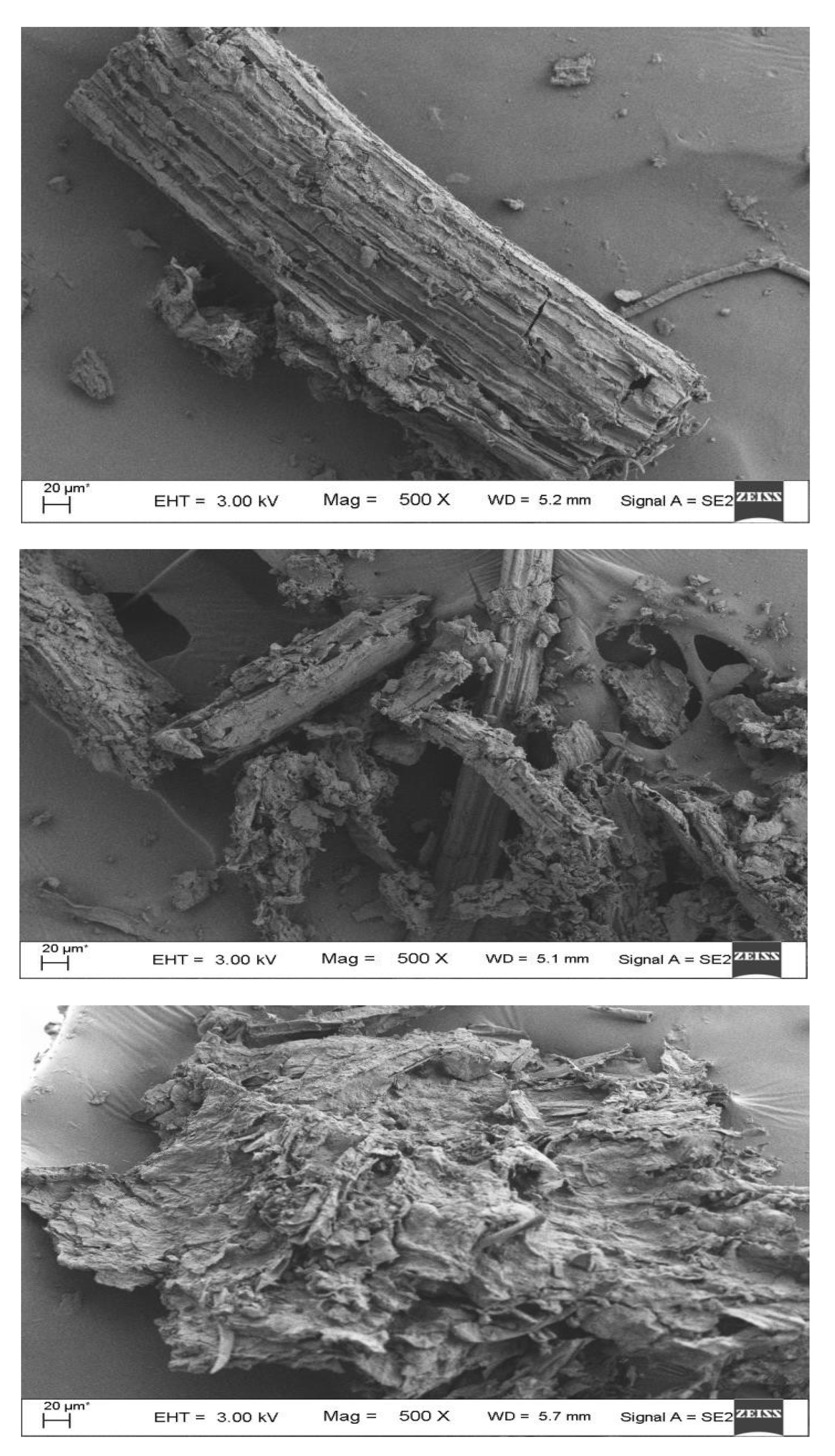Preprints 194723 g006a