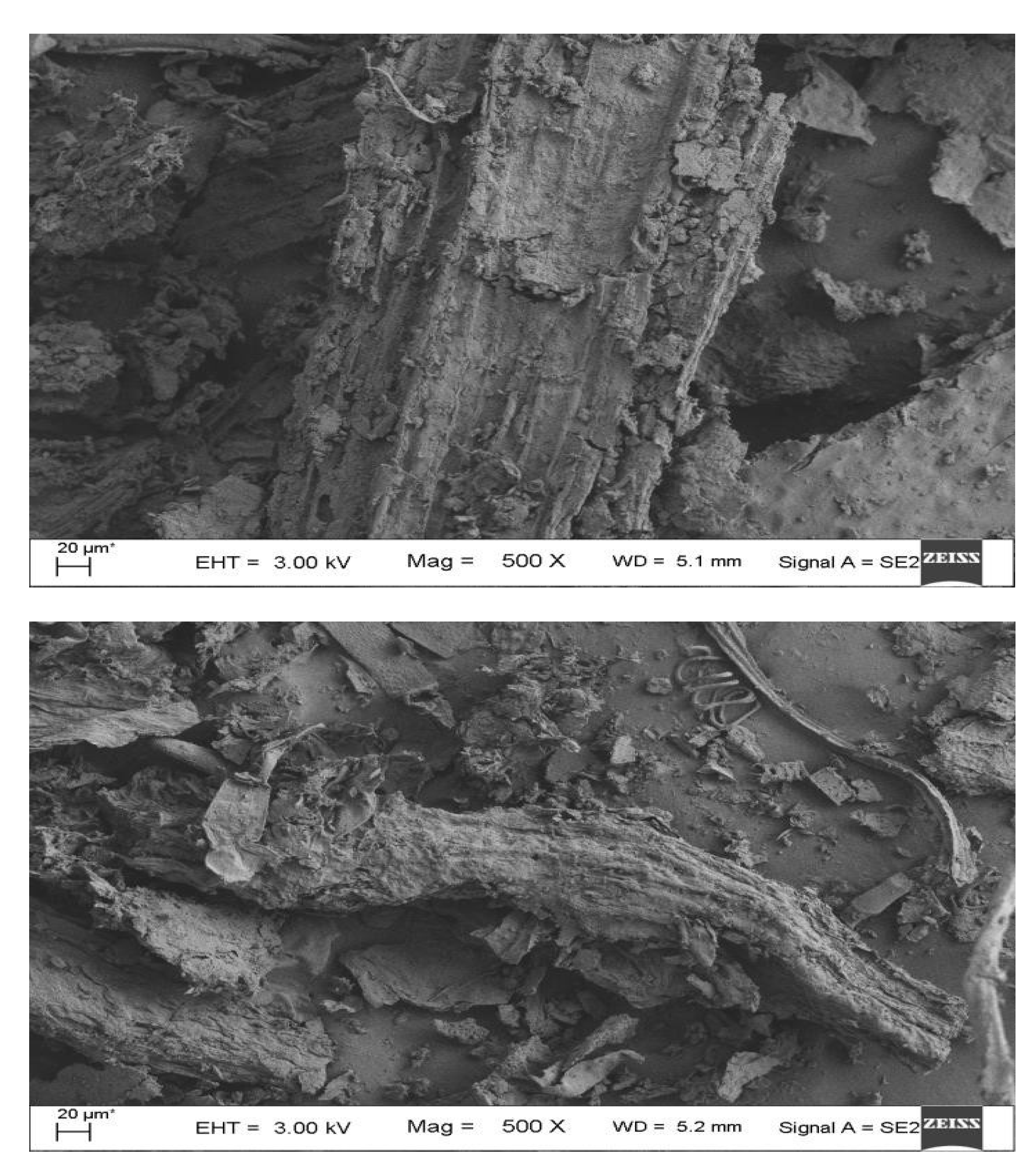 Preprints 194723 g006b