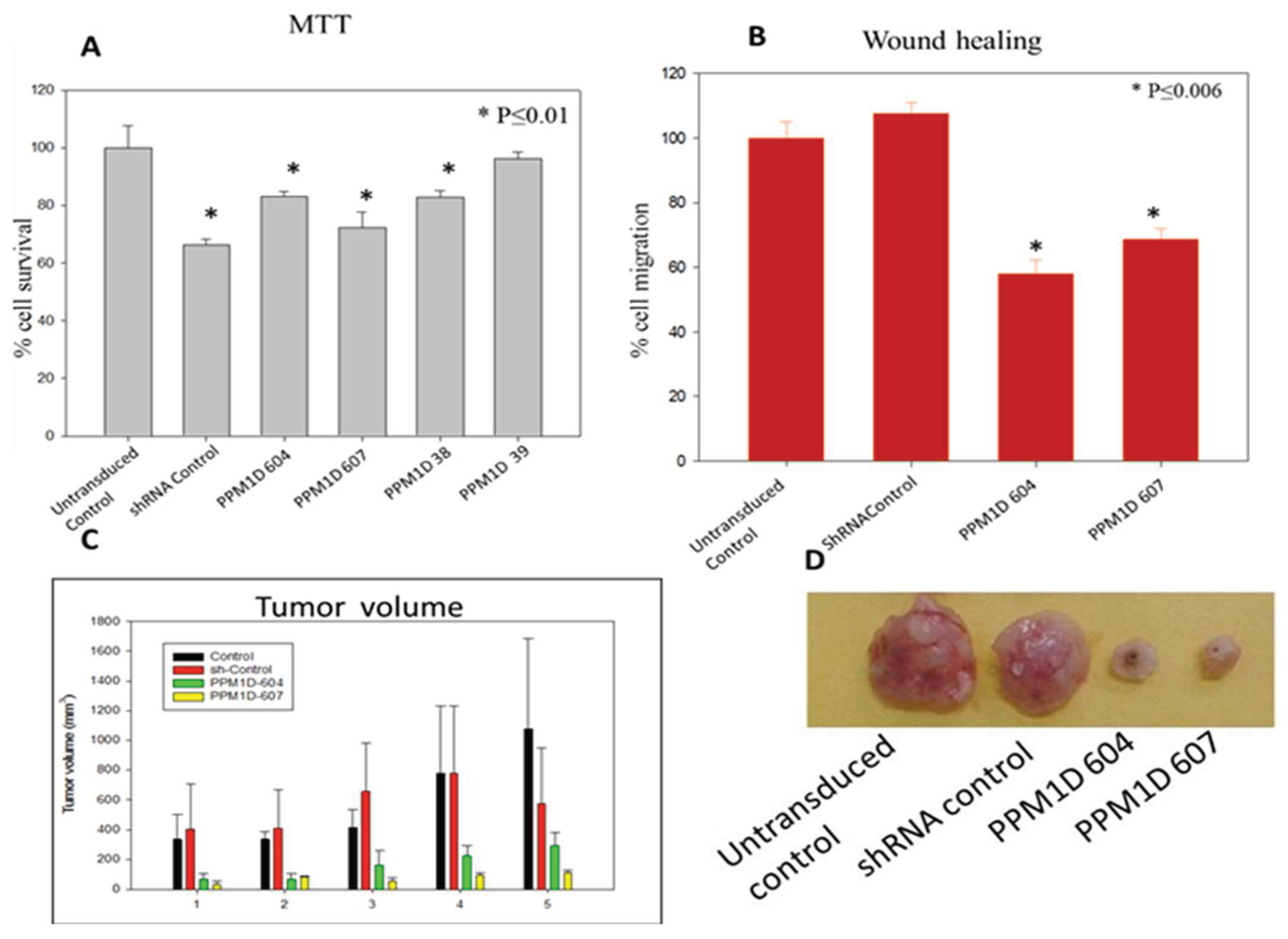 Preprints 158999 g008