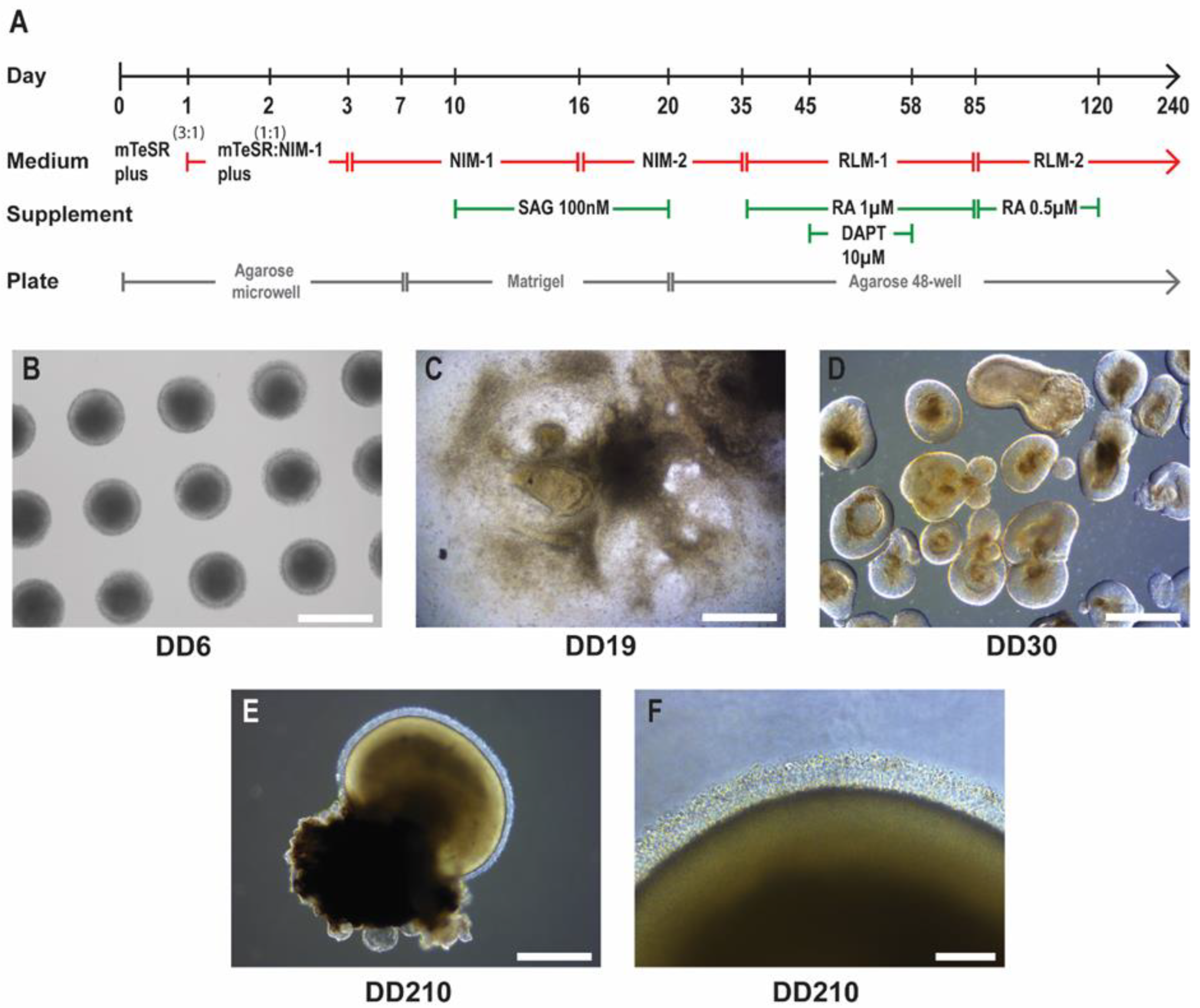Preprints 140428 g001