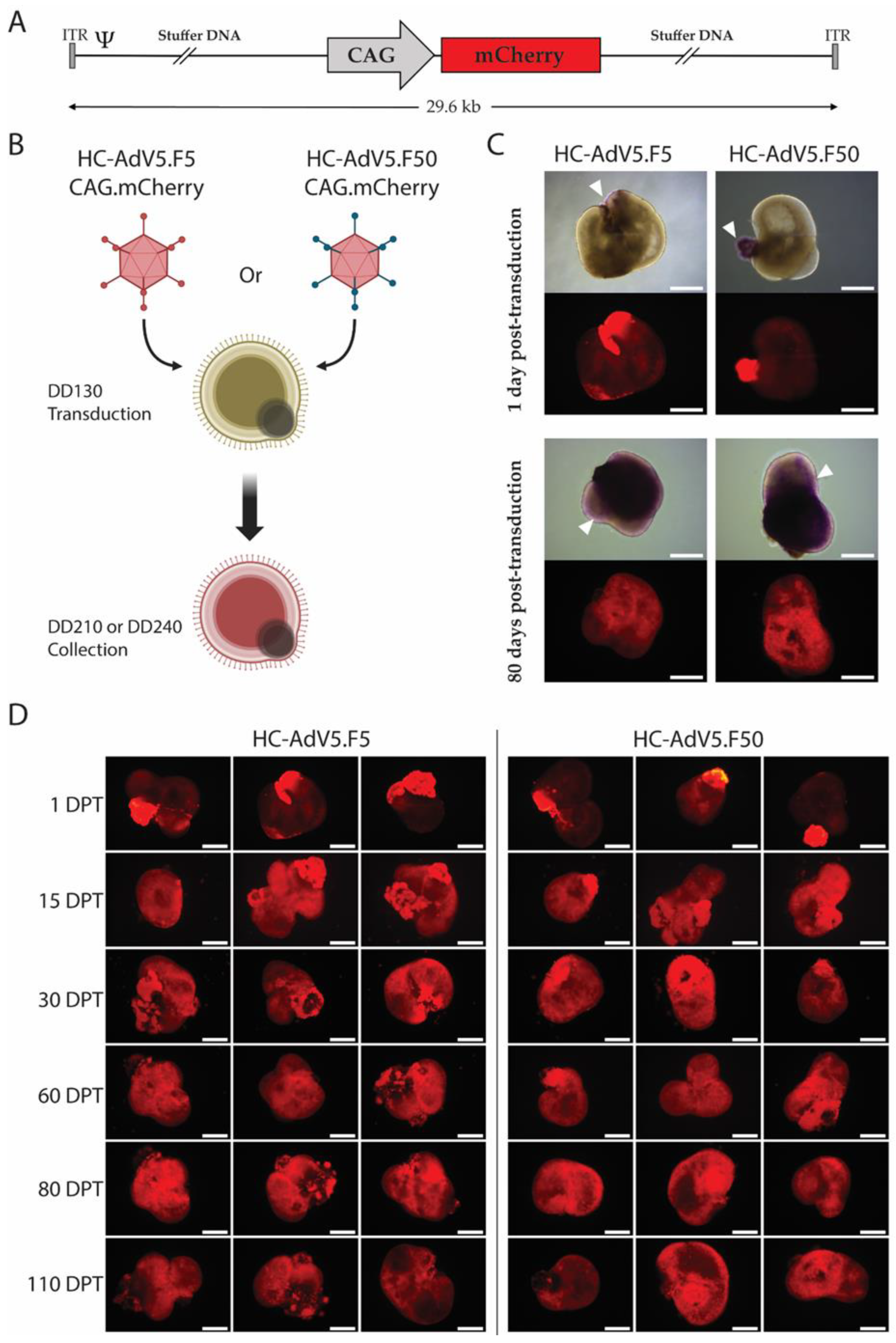 Preprints 140428 g002
