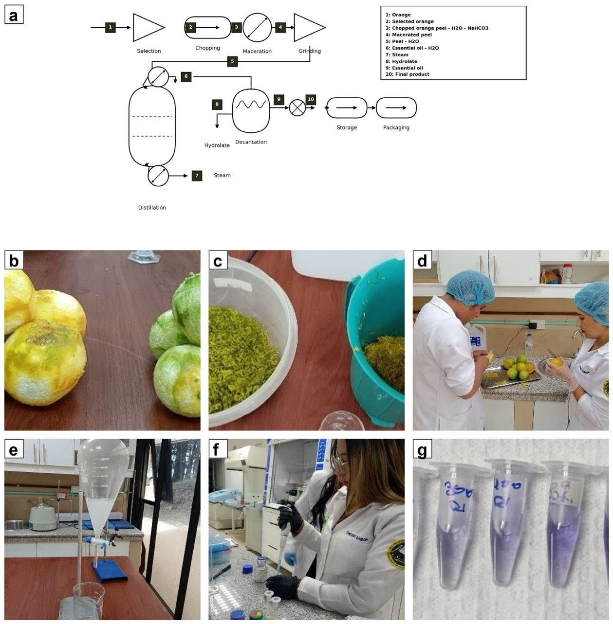 Preprints 227171 g001 Preprints 227171 g001