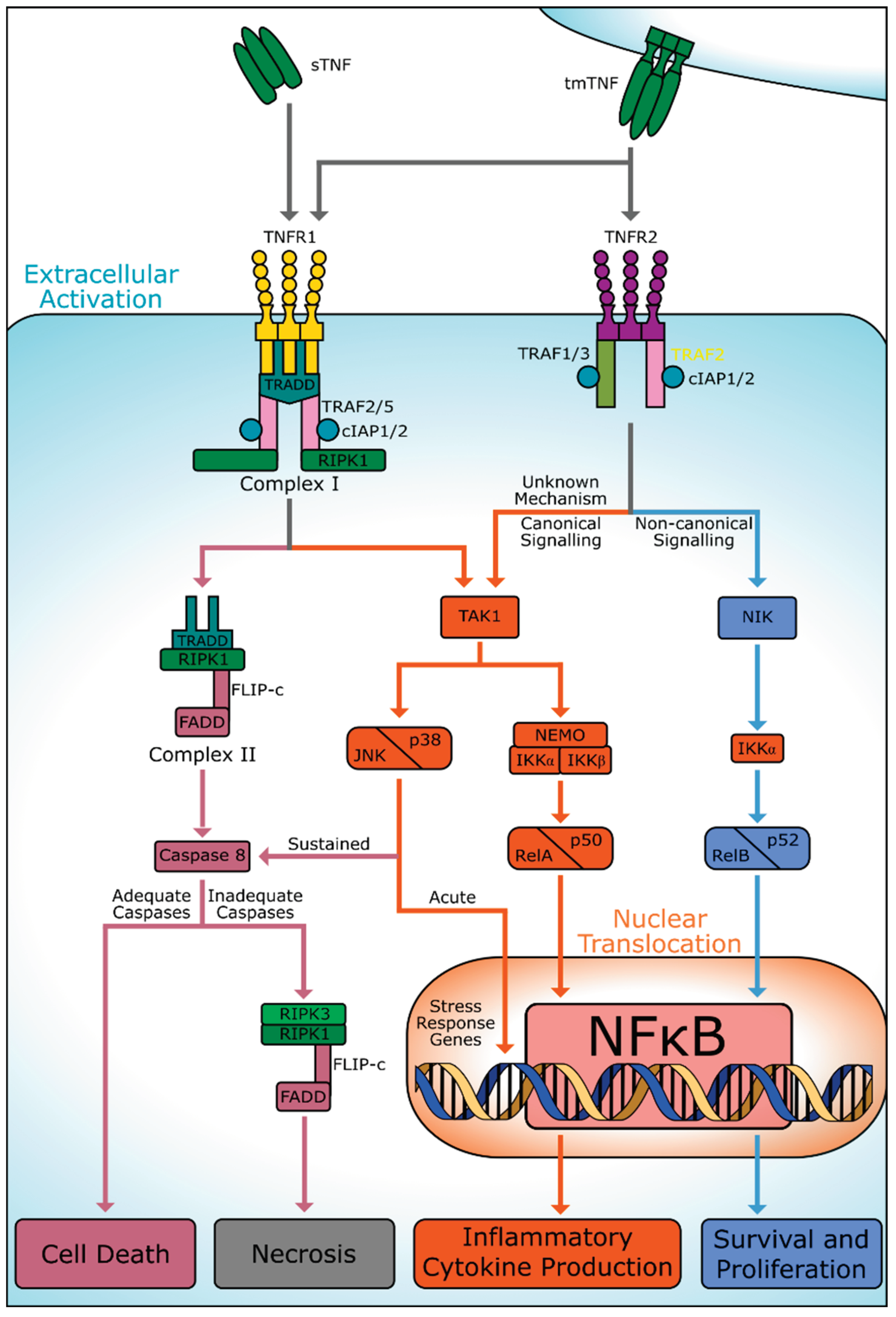 Preprints 103066 g001