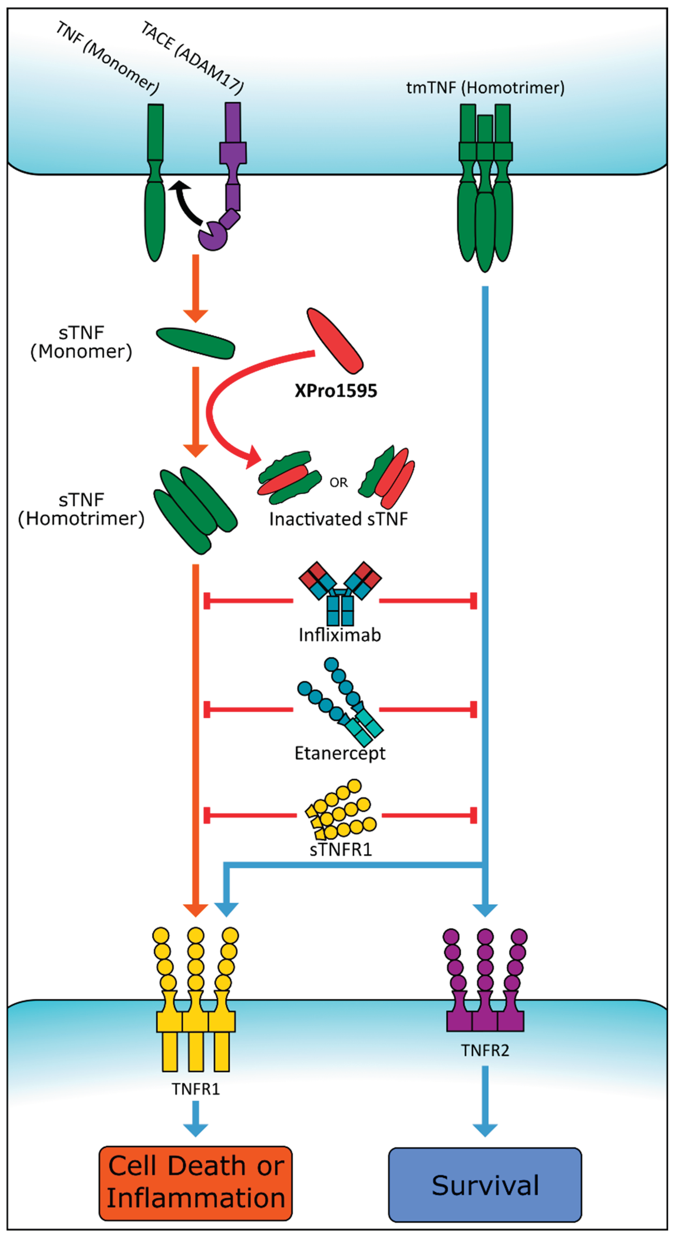 Preprints 103066 g002