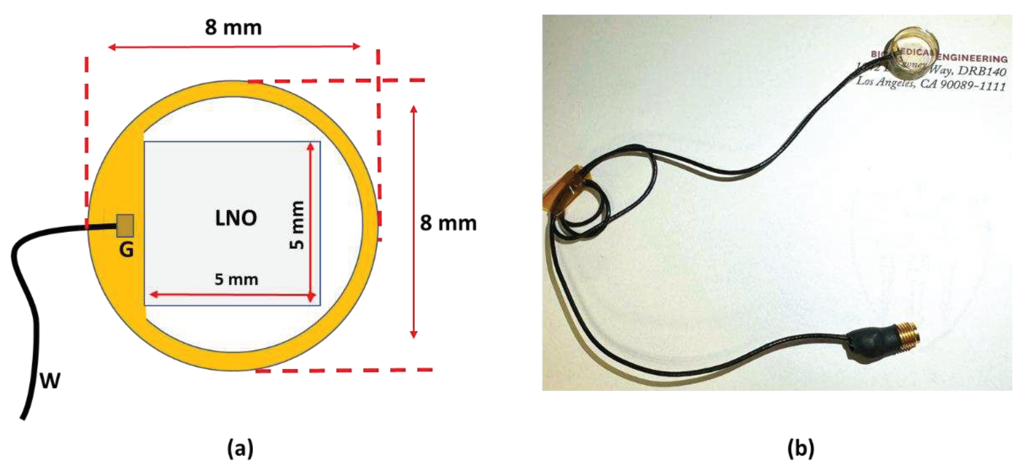 Preprints 96462 g001