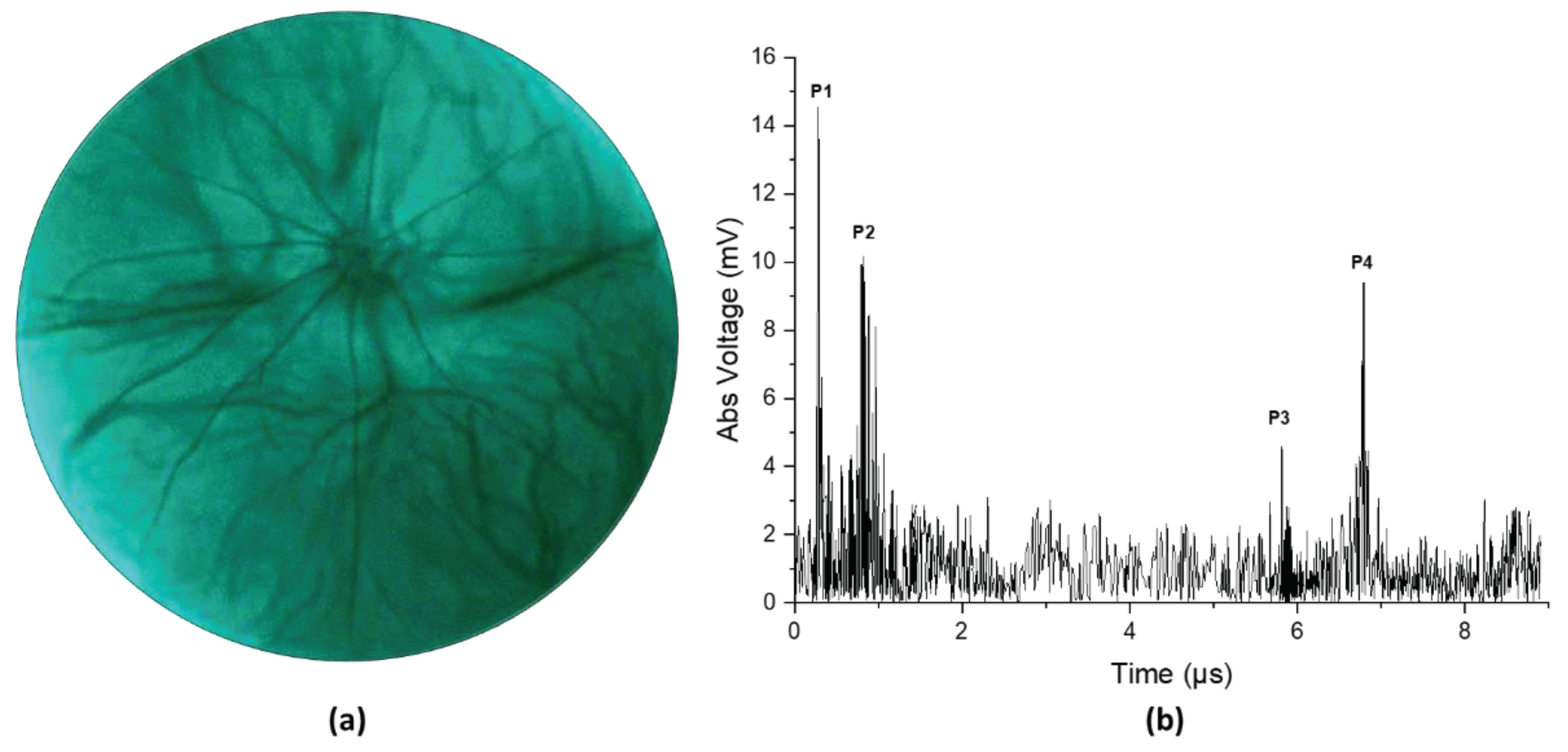 Preprints 96462 g004