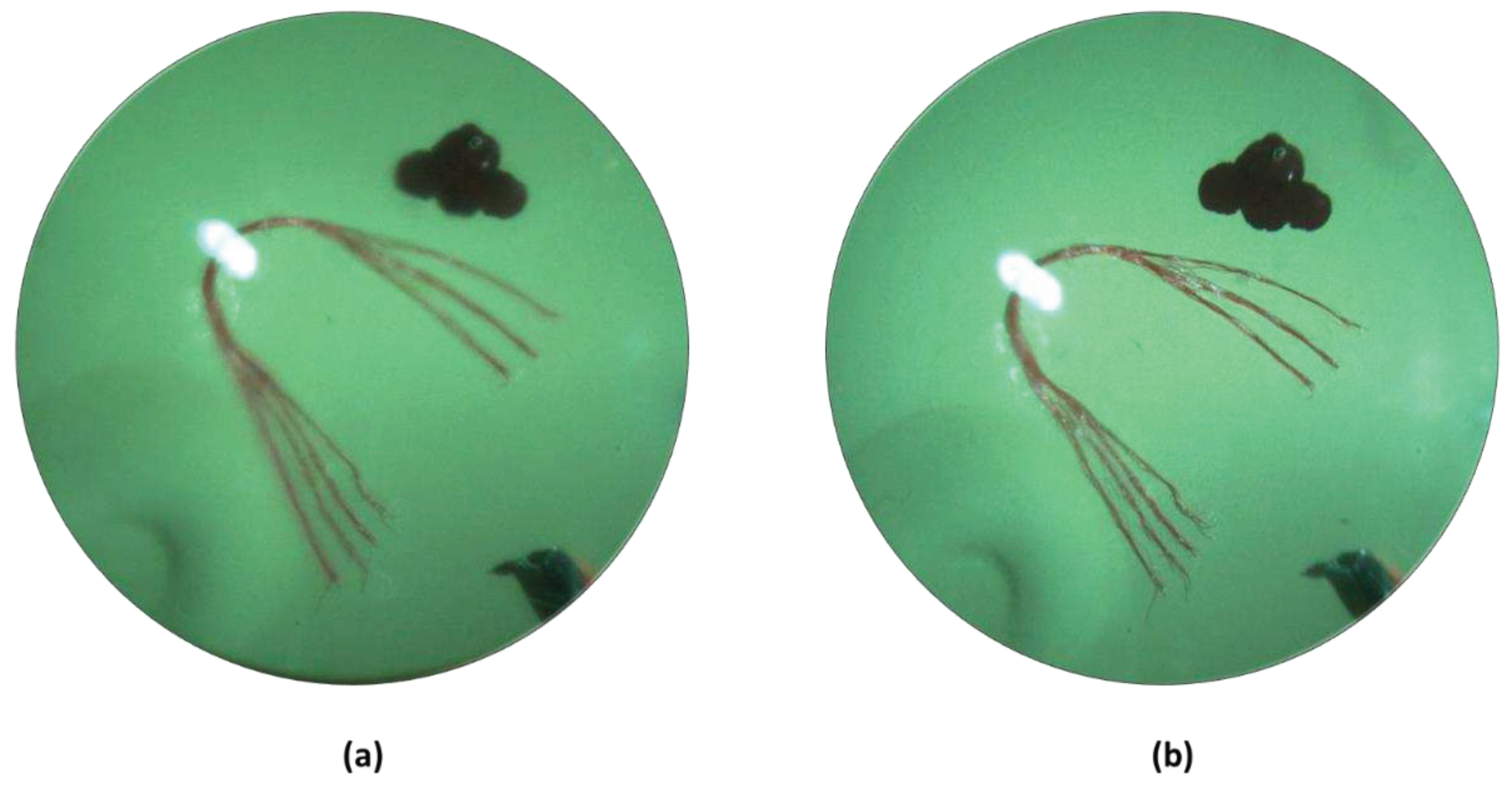 Preprints 96462 g005