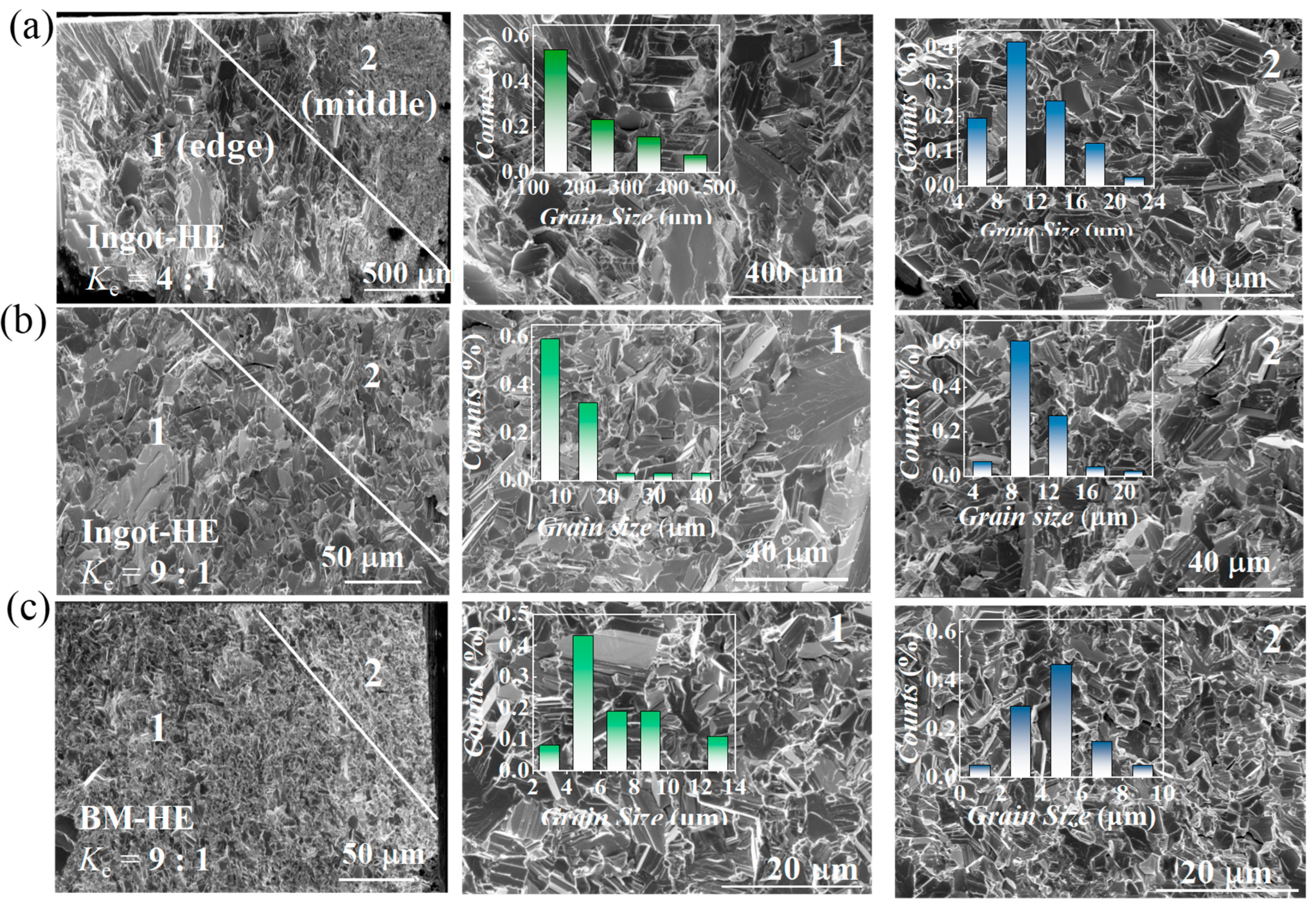Preprints 107351 g003