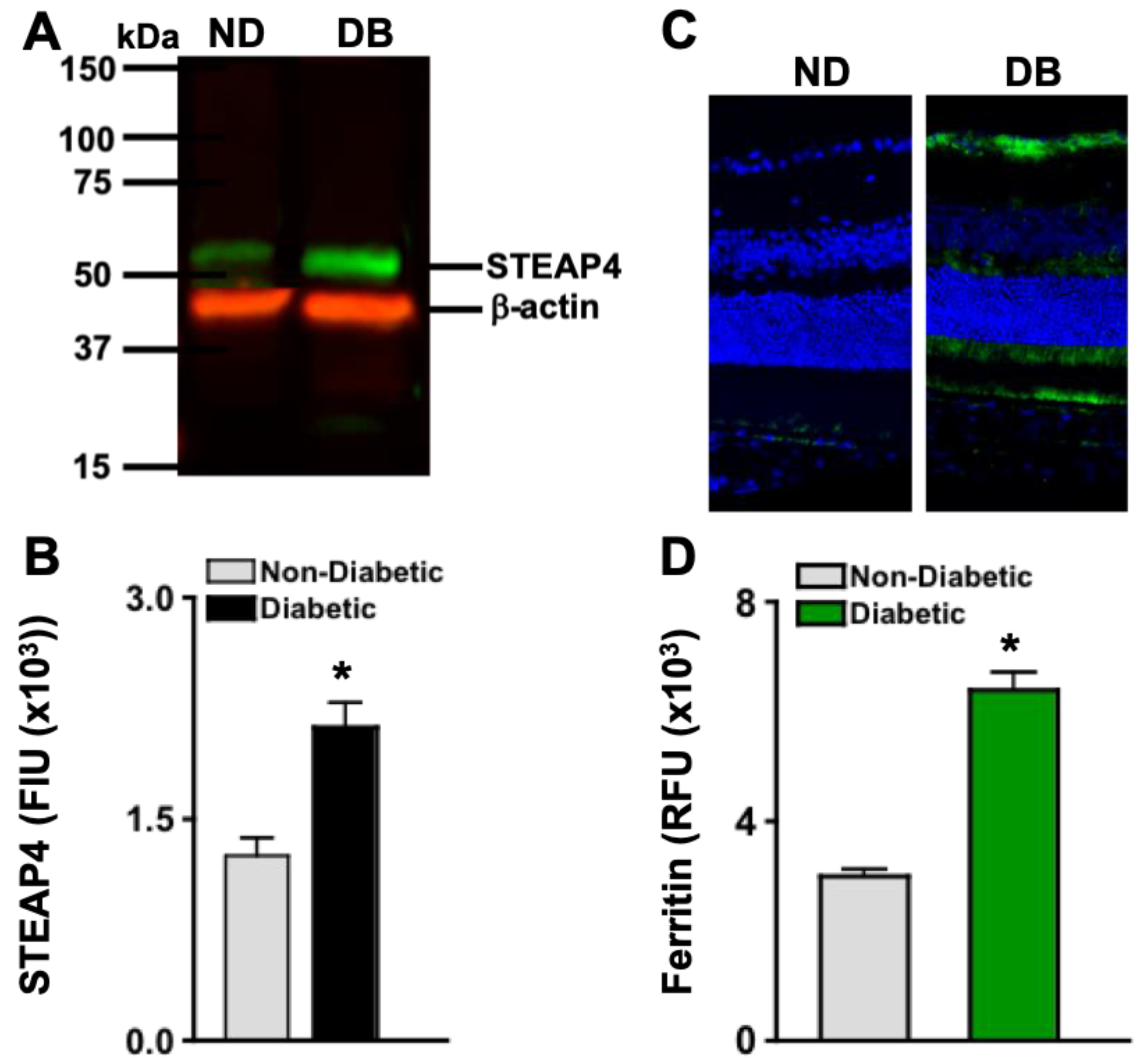 Preprints 143160 g002