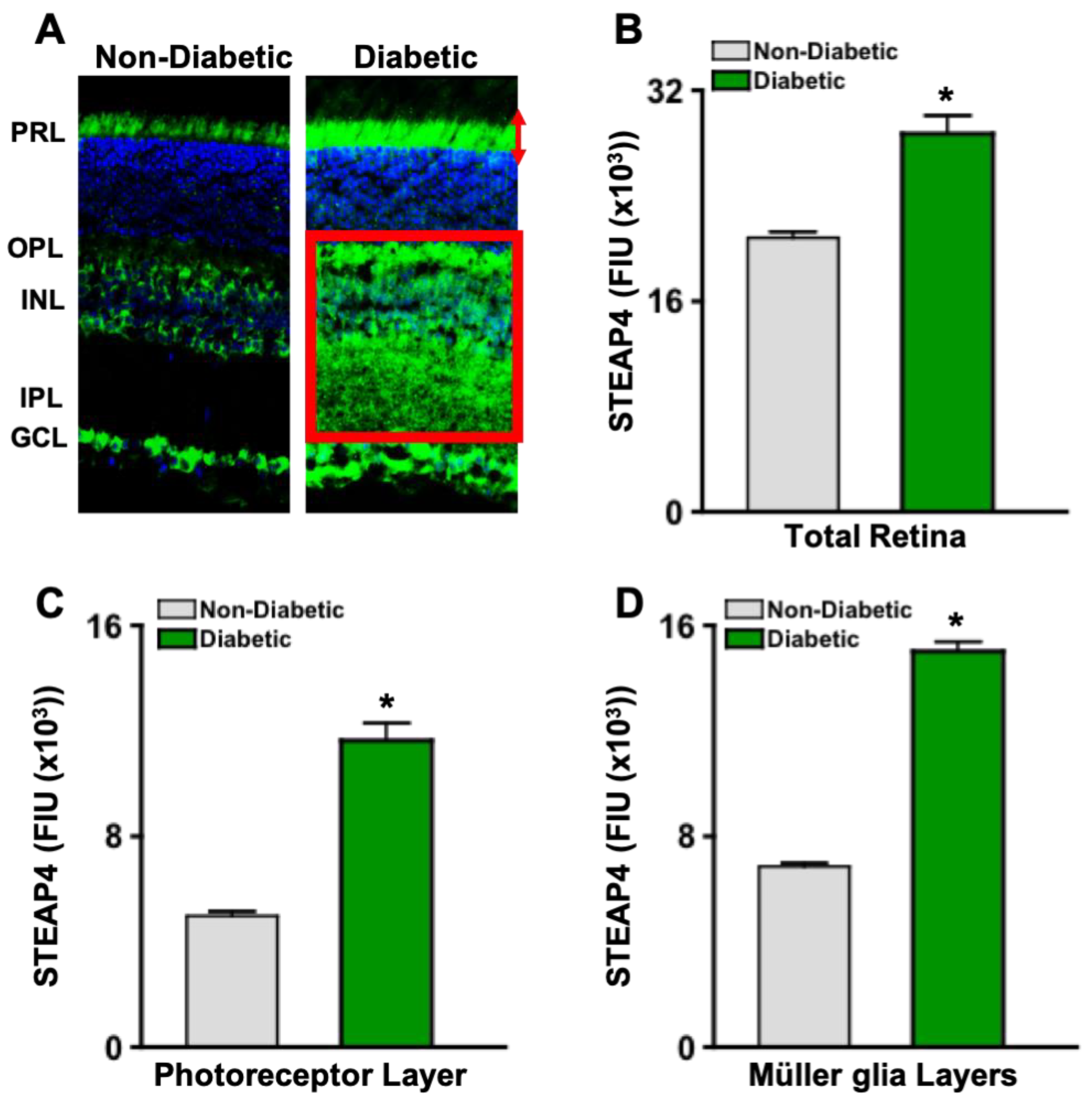 Preprints 143160 g003