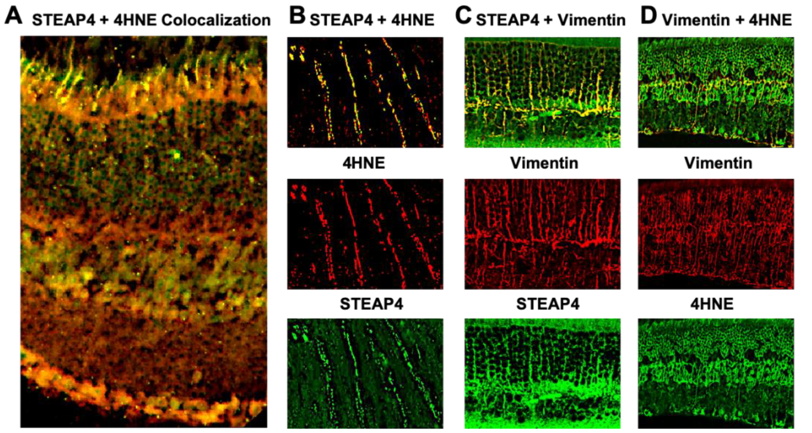 Preprints 143160 g004
