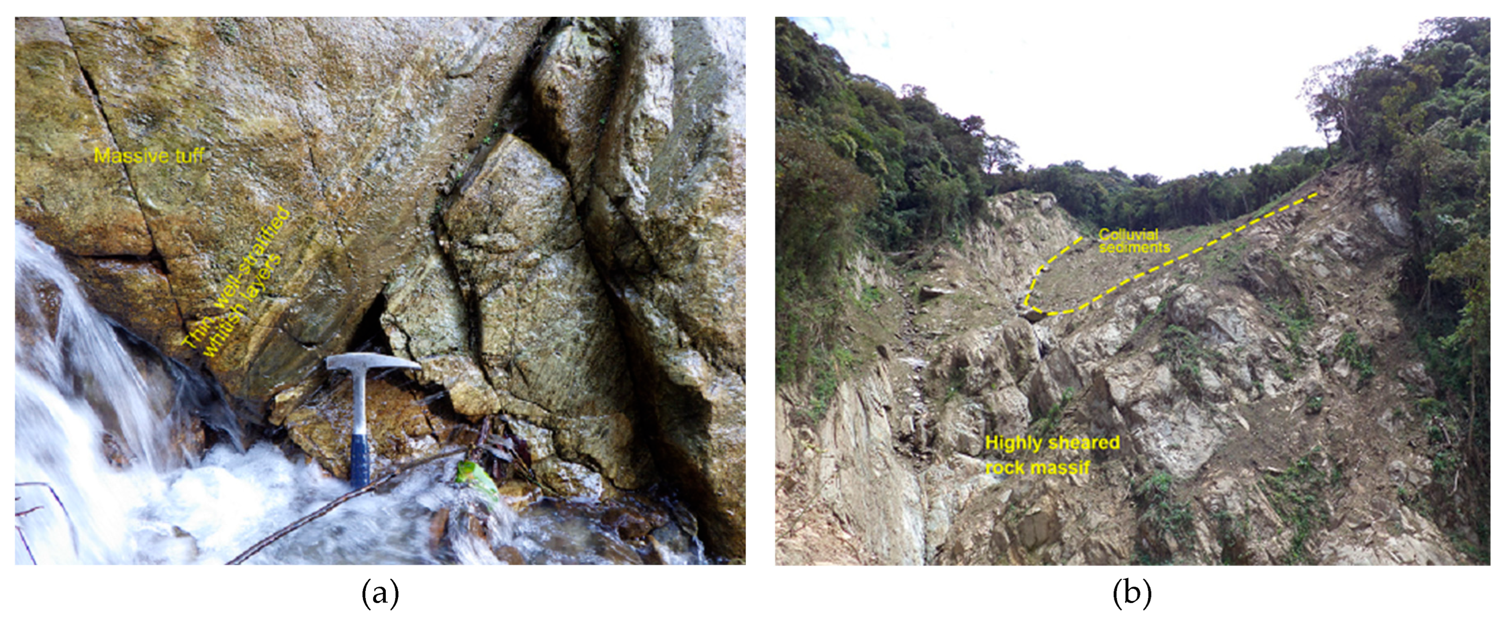 Preprints 184674 g009