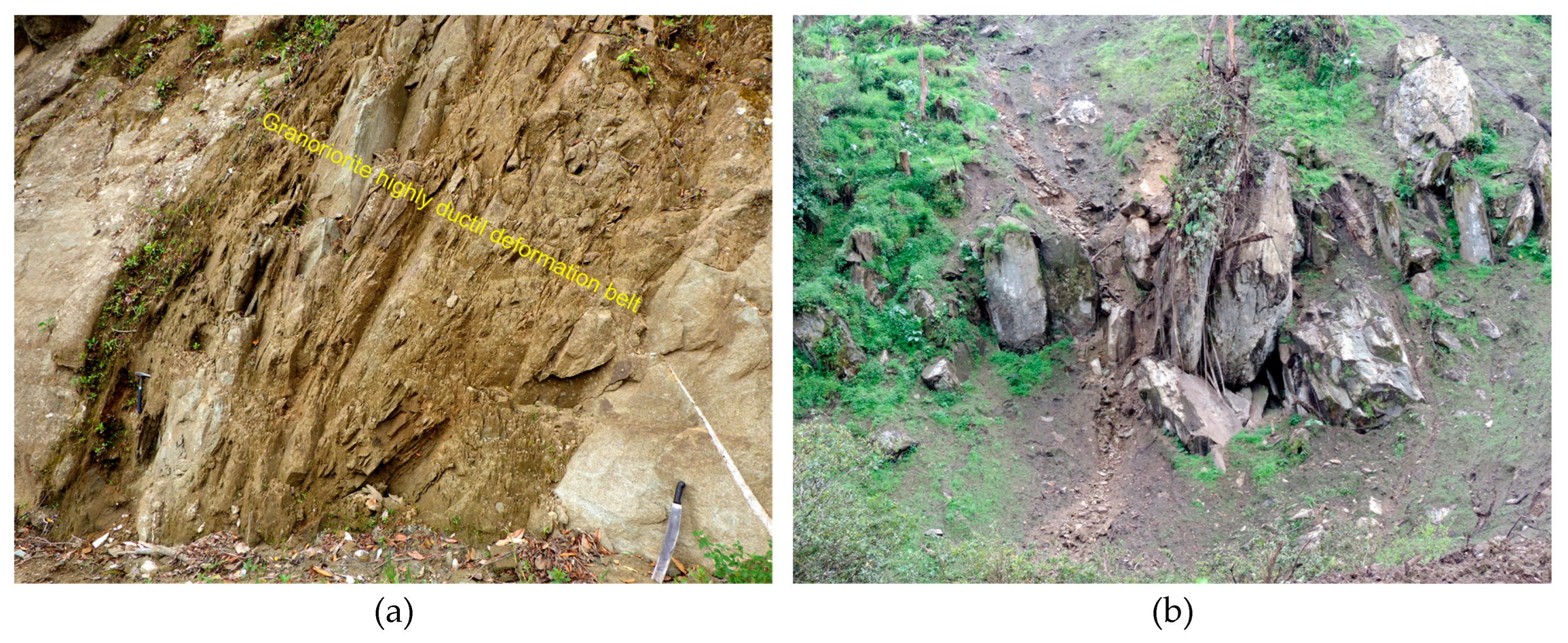 Preprints 184674 g010