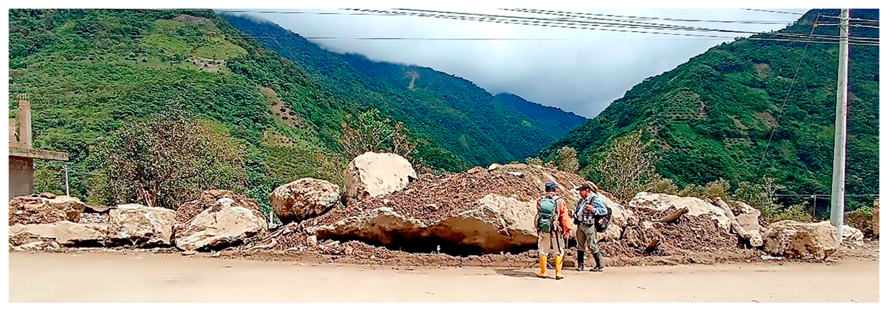 Preprints 184674 g012