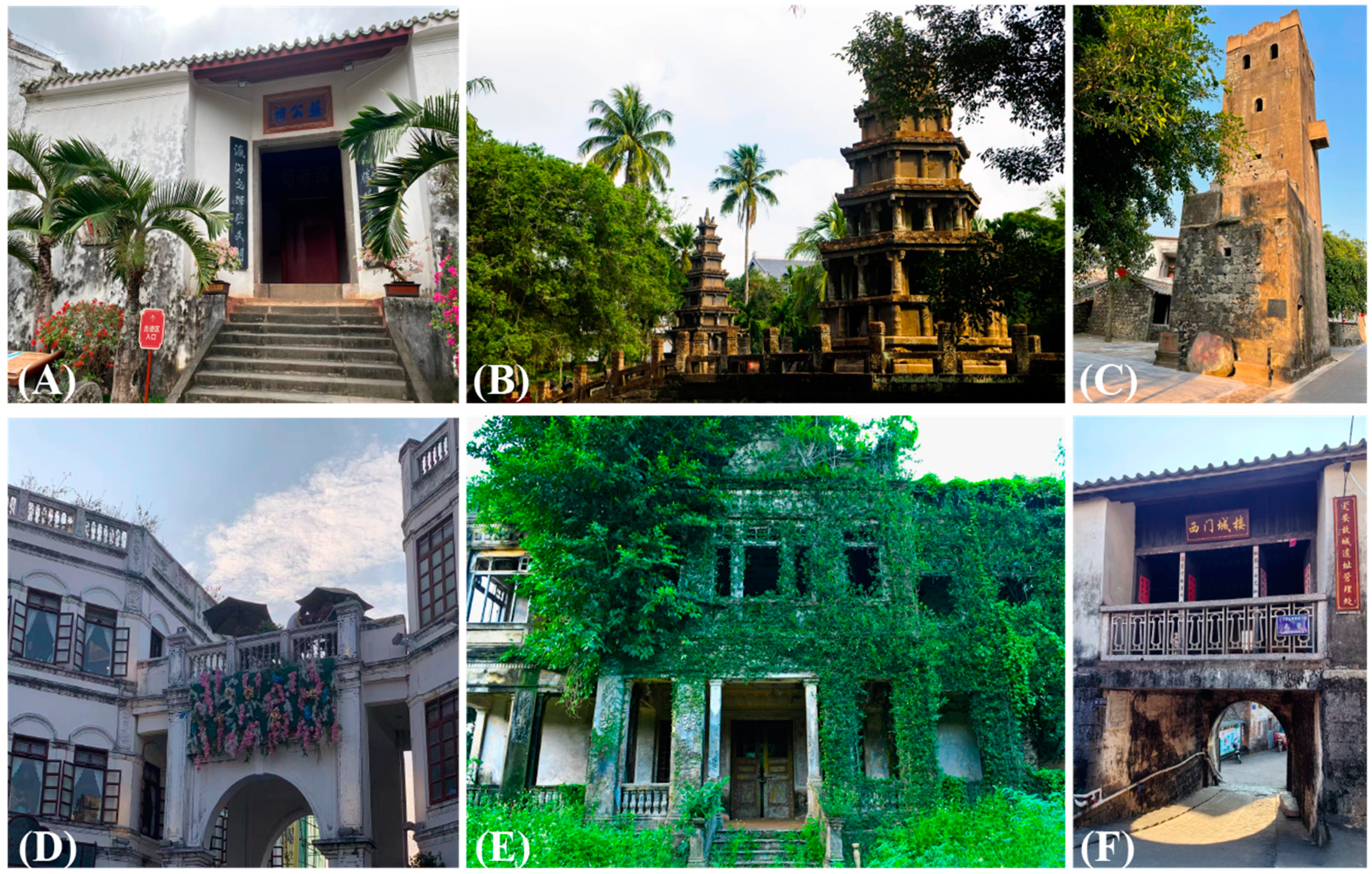 Preprints 142166 g001