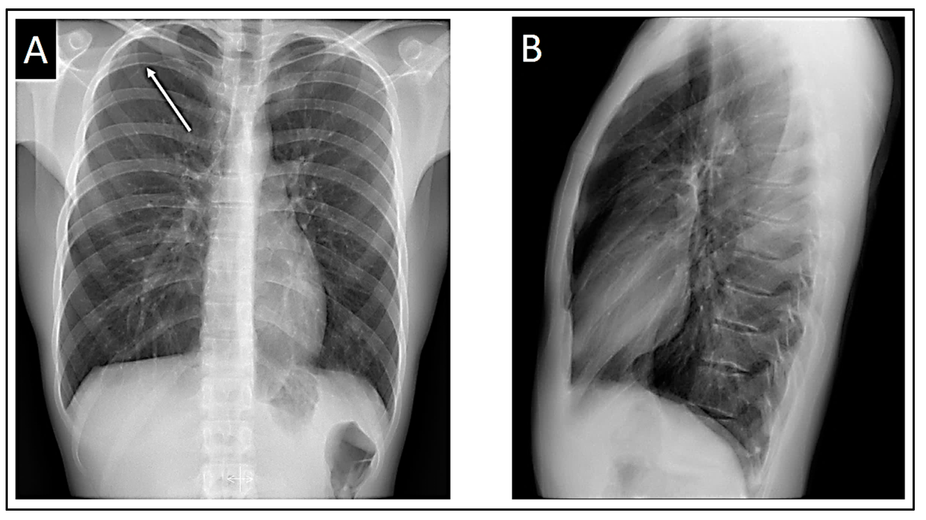 Preprints 103558 g001