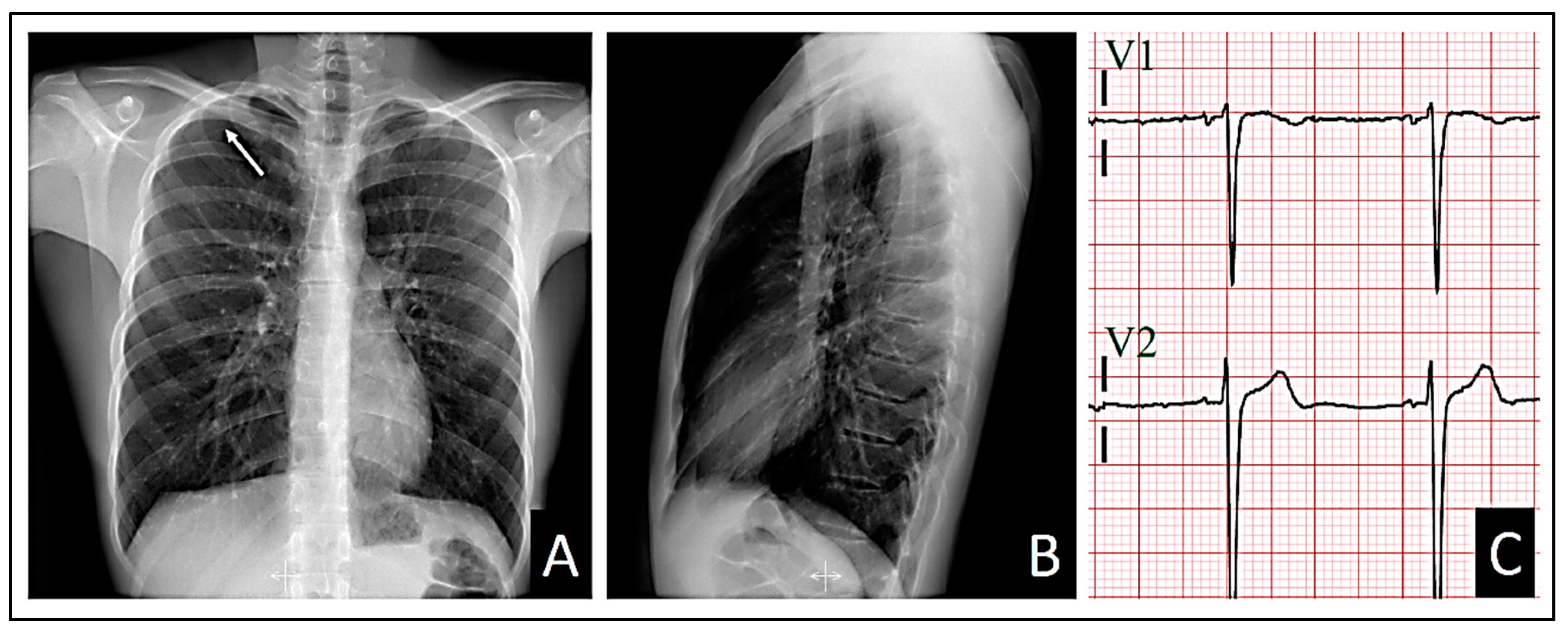 Preprints 103558 g006