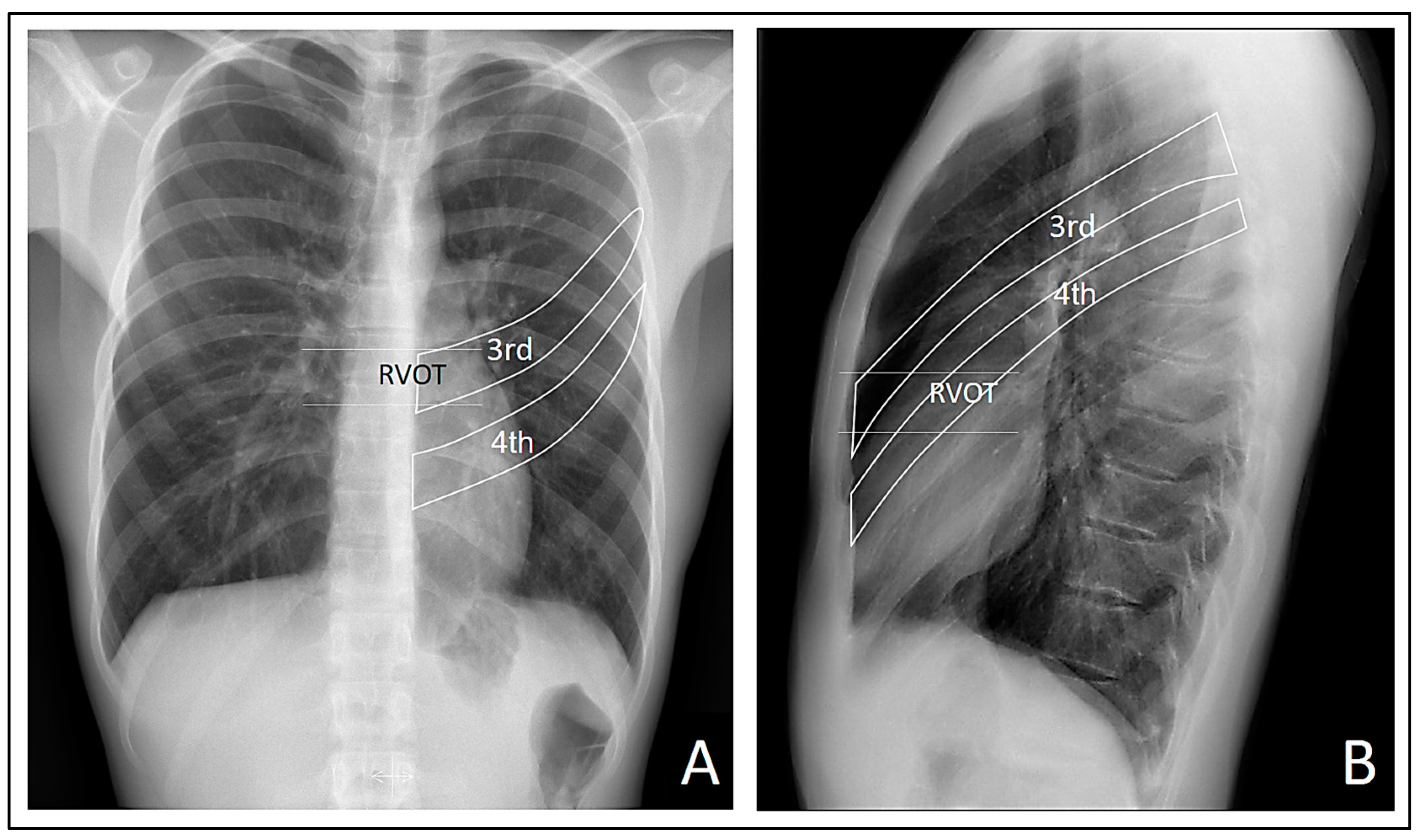 Preprints 103558 g007