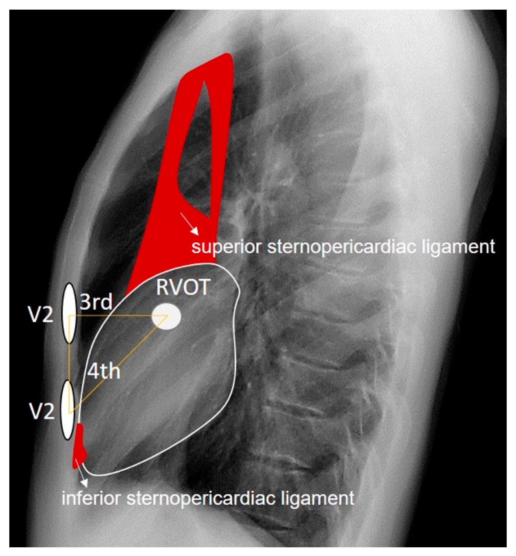 Preprints 103558 g008