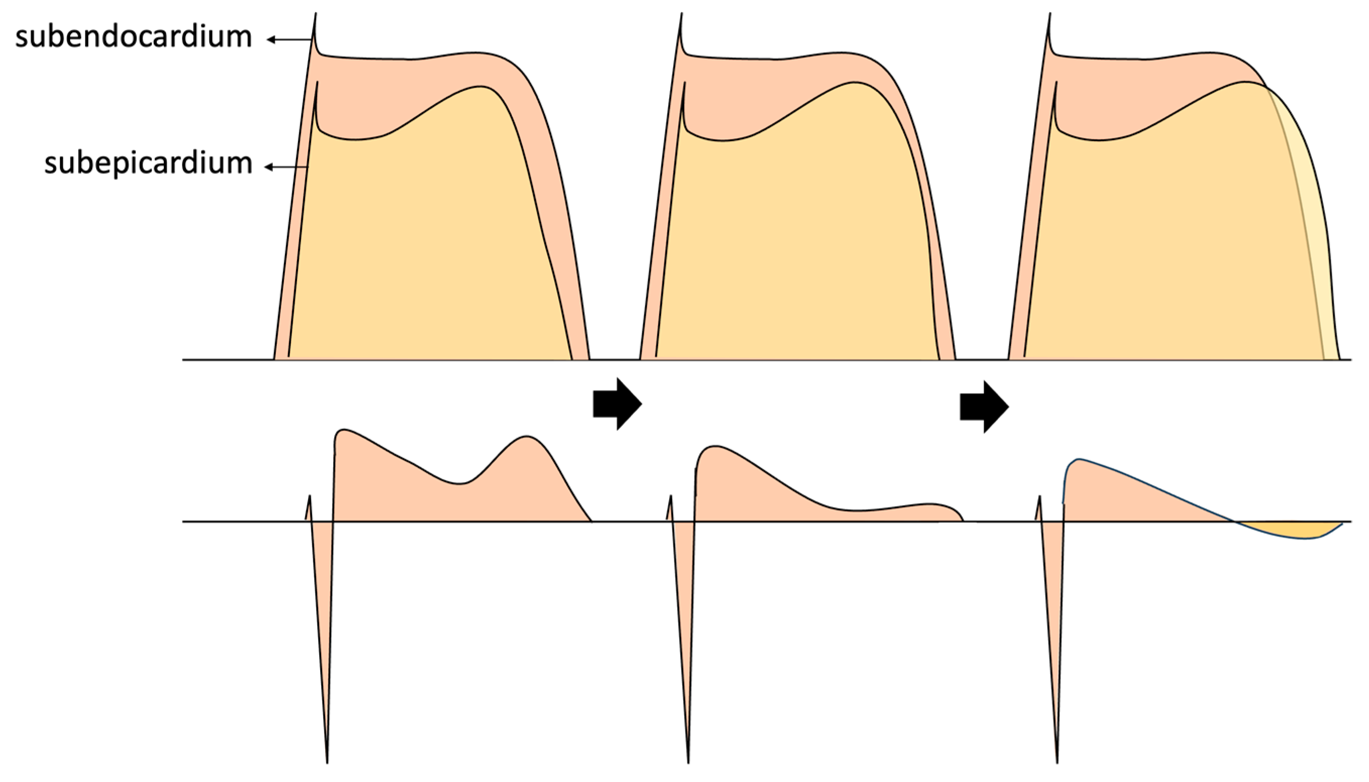 Preprints 103558 g011