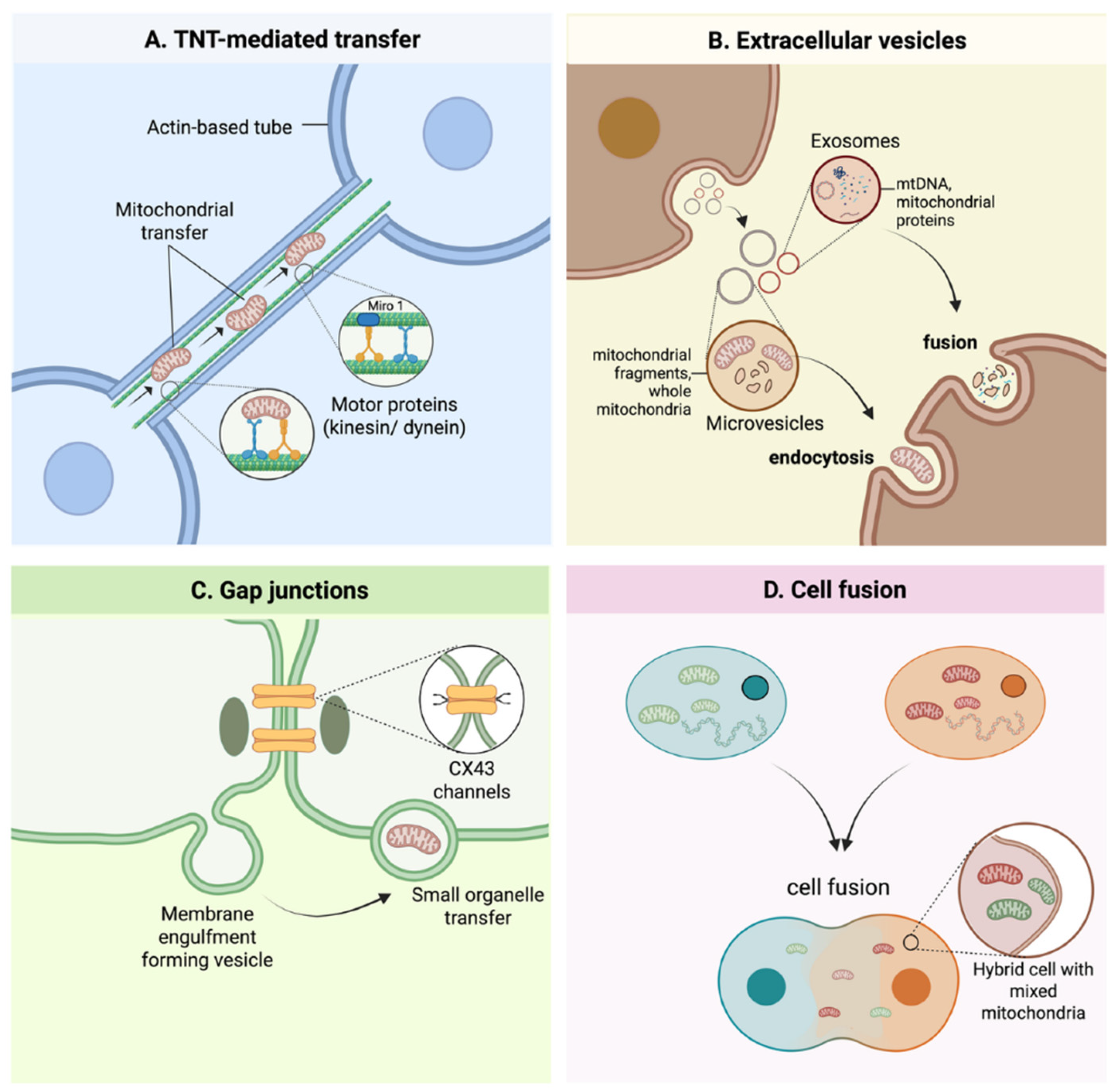 Preprints 211353 g002