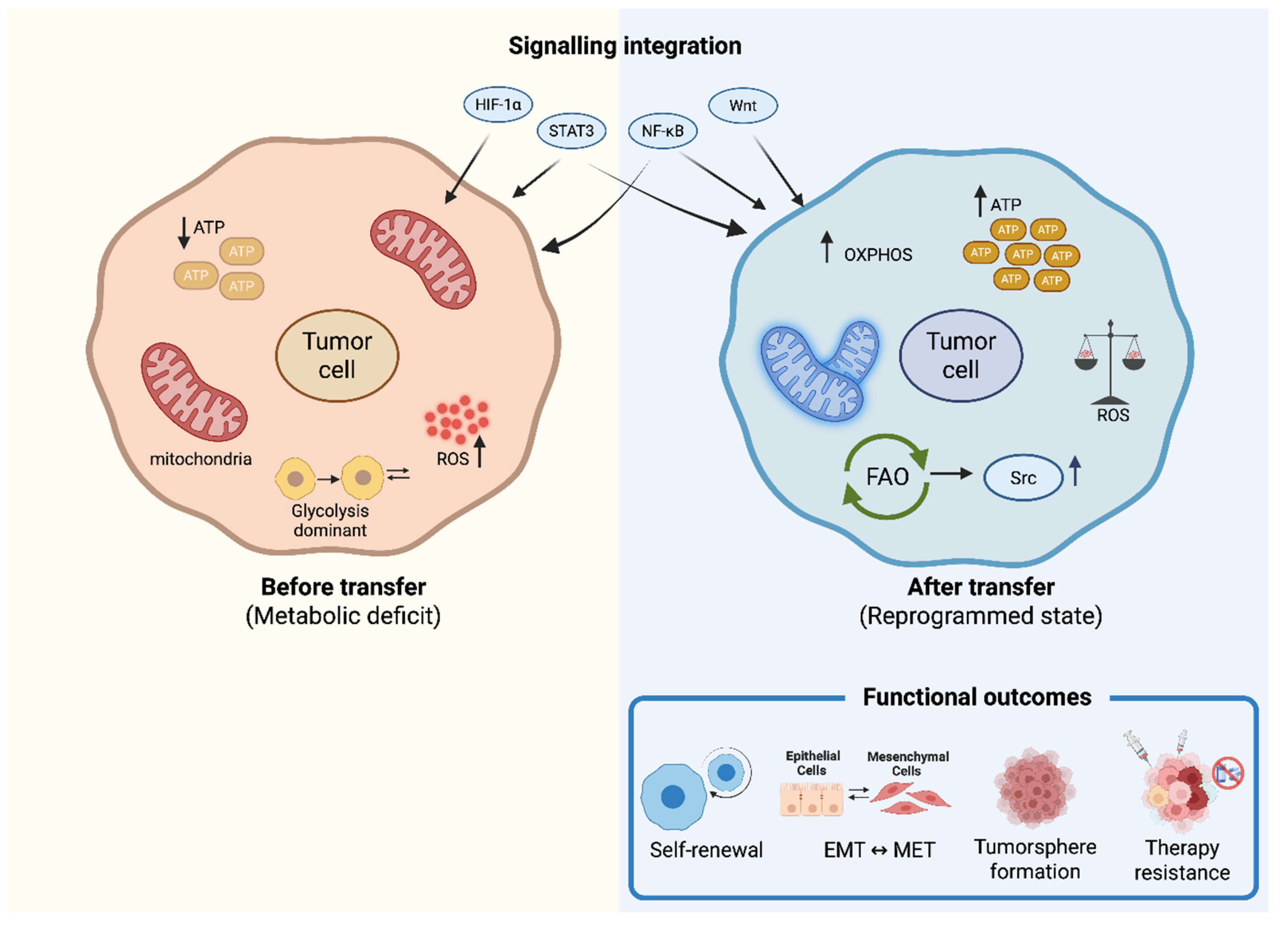 Preprints 211353 g003
