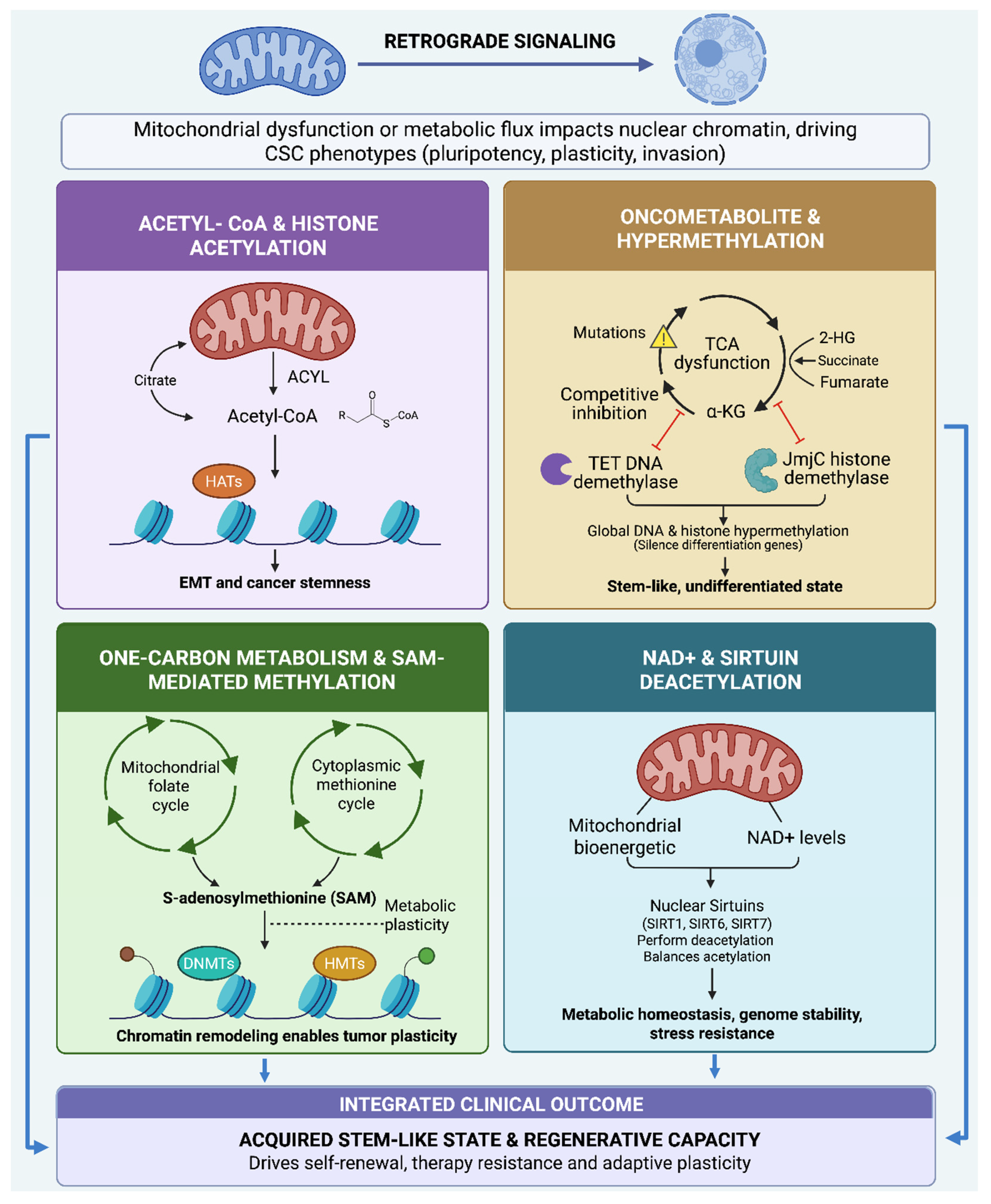 Preprints 211353 g004