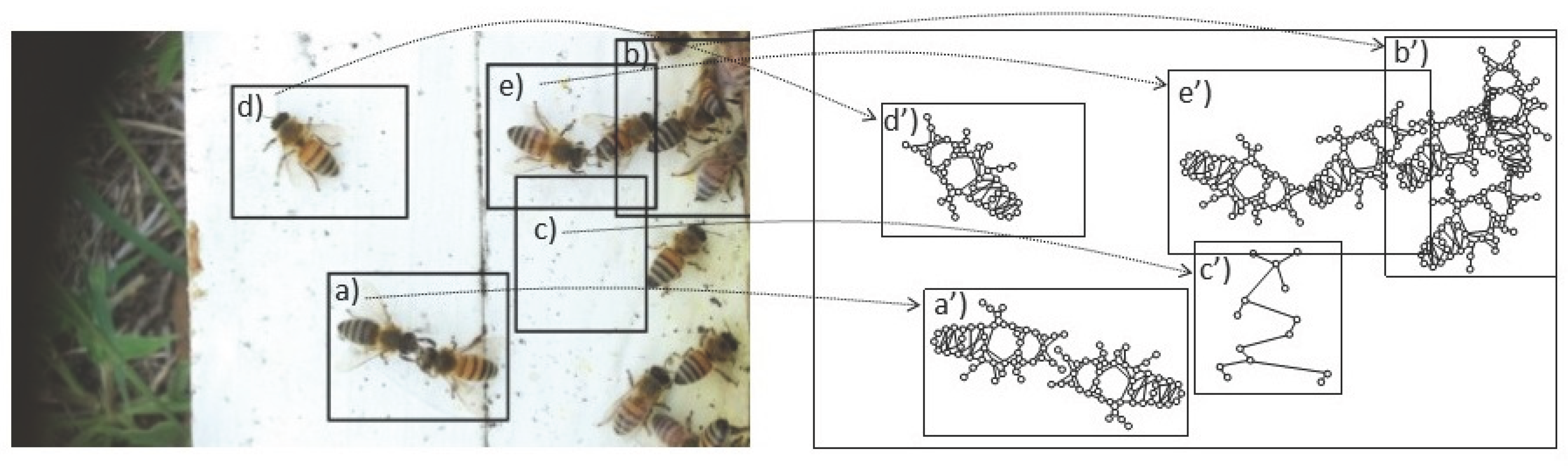 Preprints 189139 g004