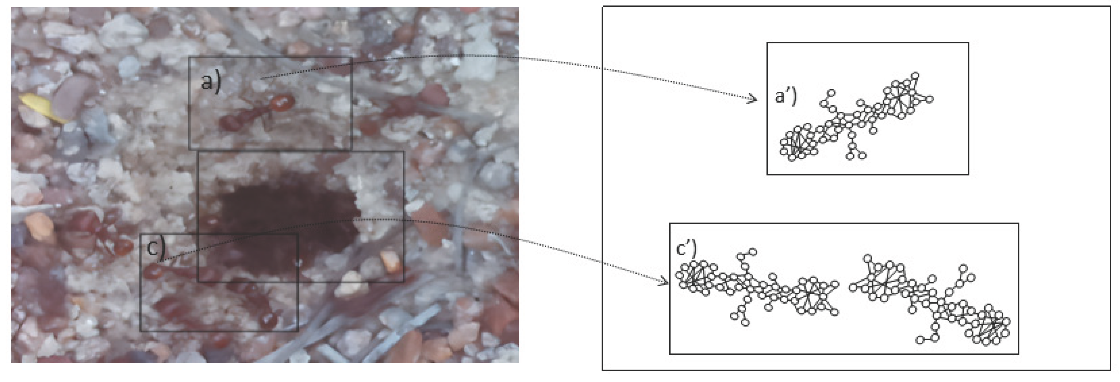 Preprints 189139 g005