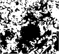 Preprints 189139 i011