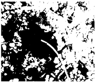 Preprints 189139 i013