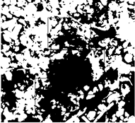 Preprints 189139 i019