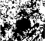 Preprints 189139 i023