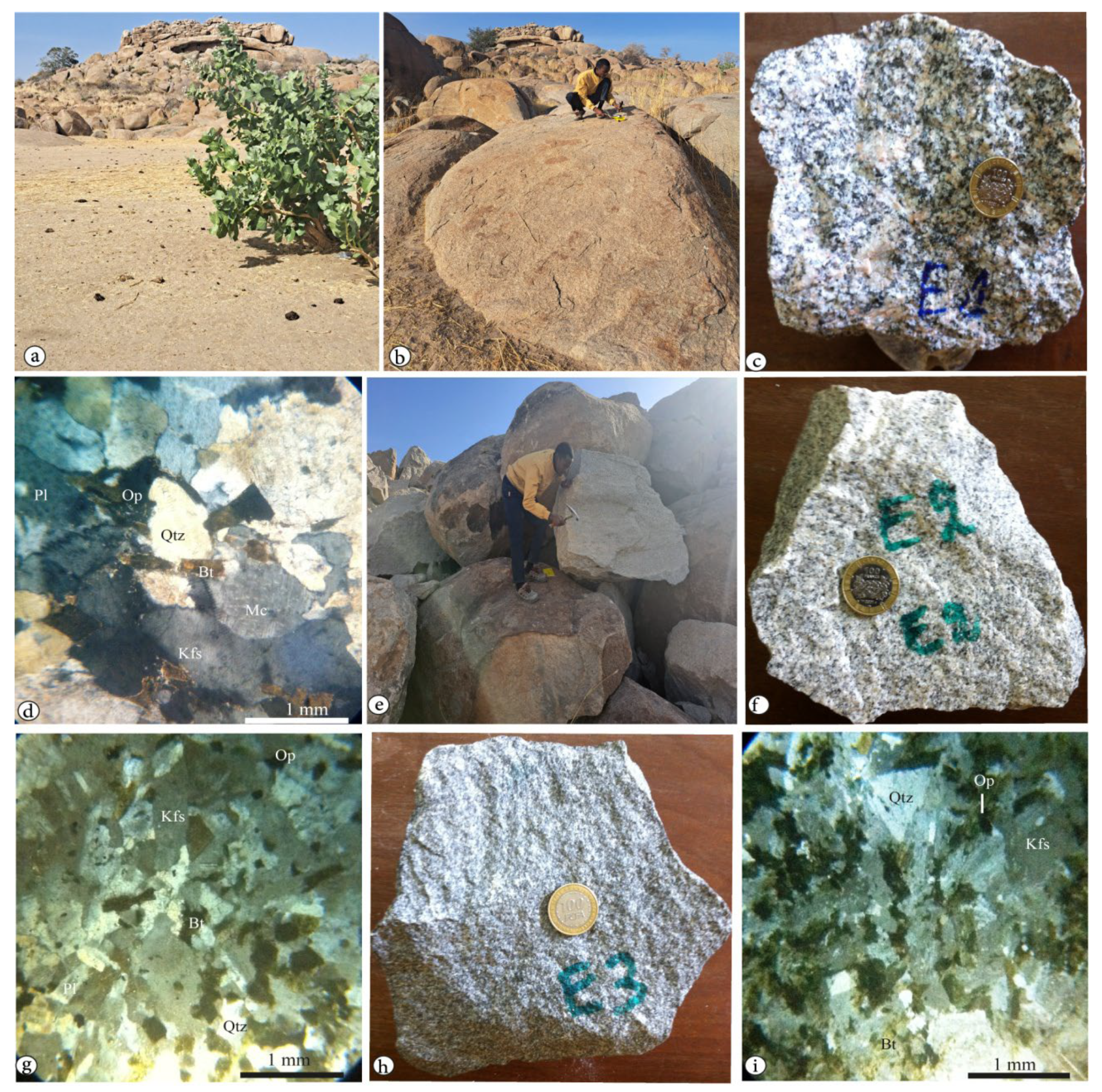 Preprints 90769 g003