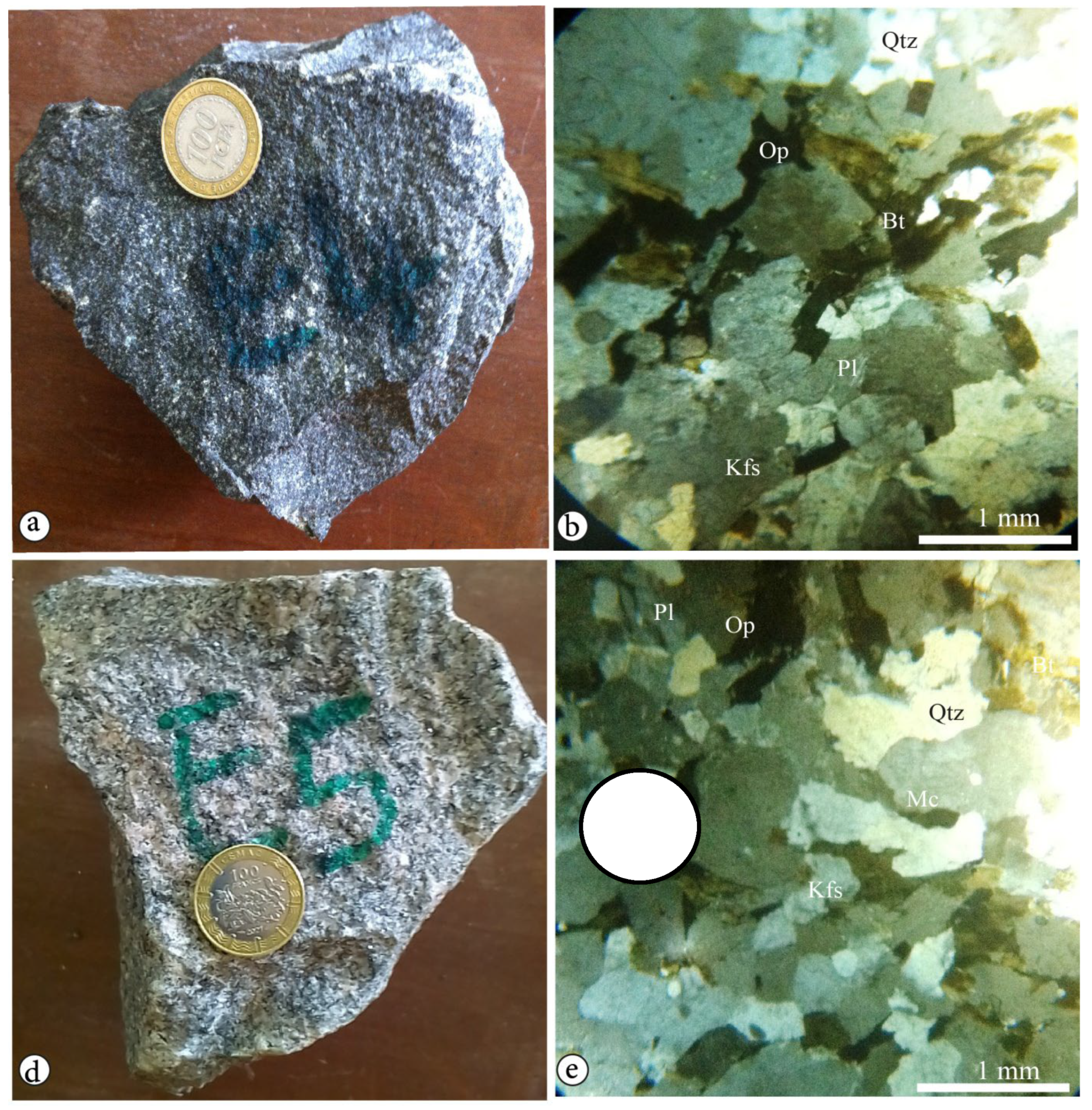 Preprints 90769 g005