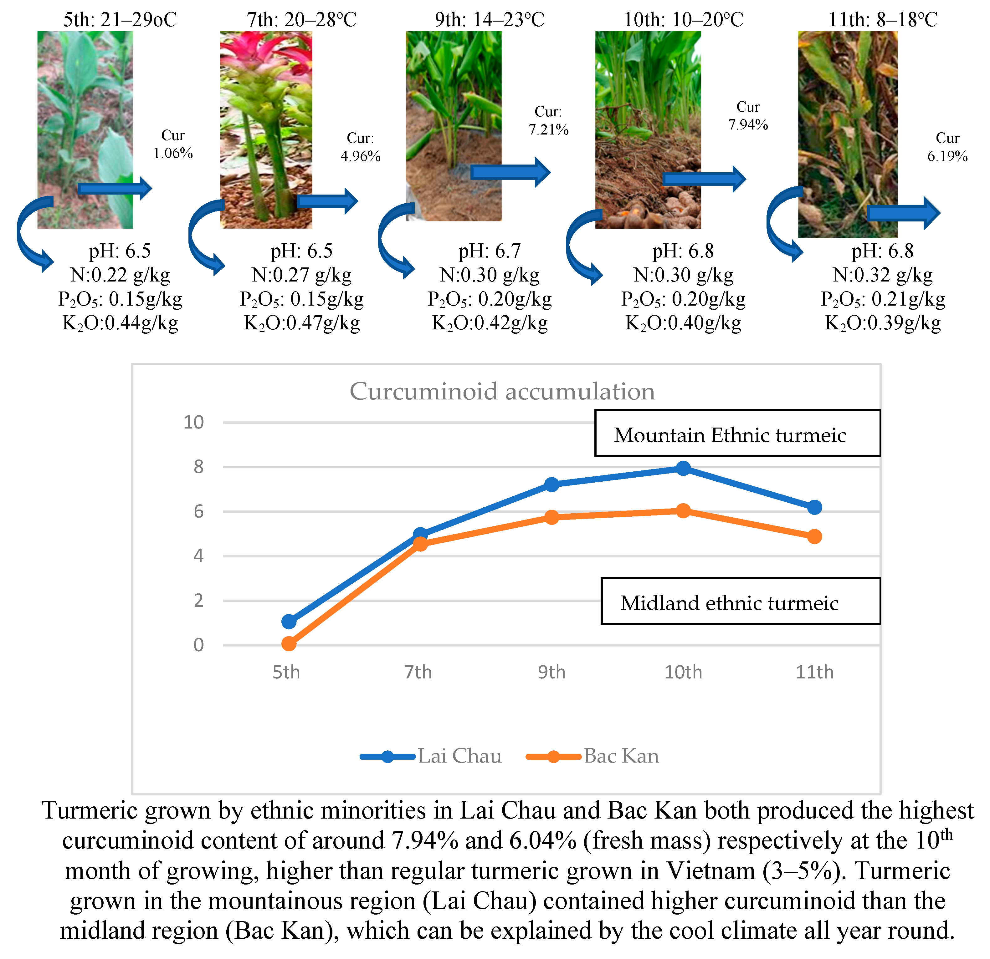 Preprints 147206 g002