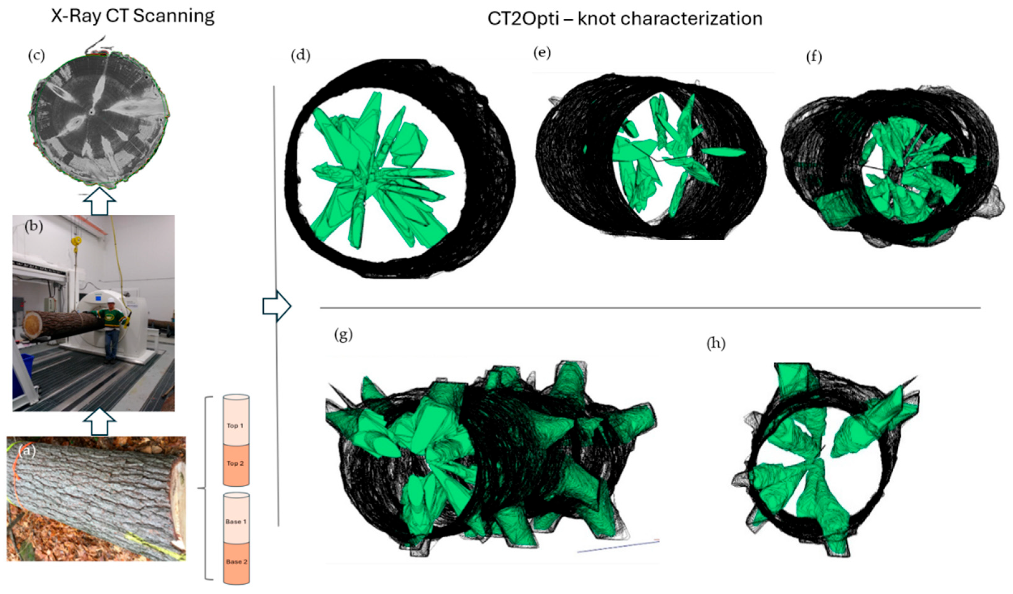 Preprints 203820 g004