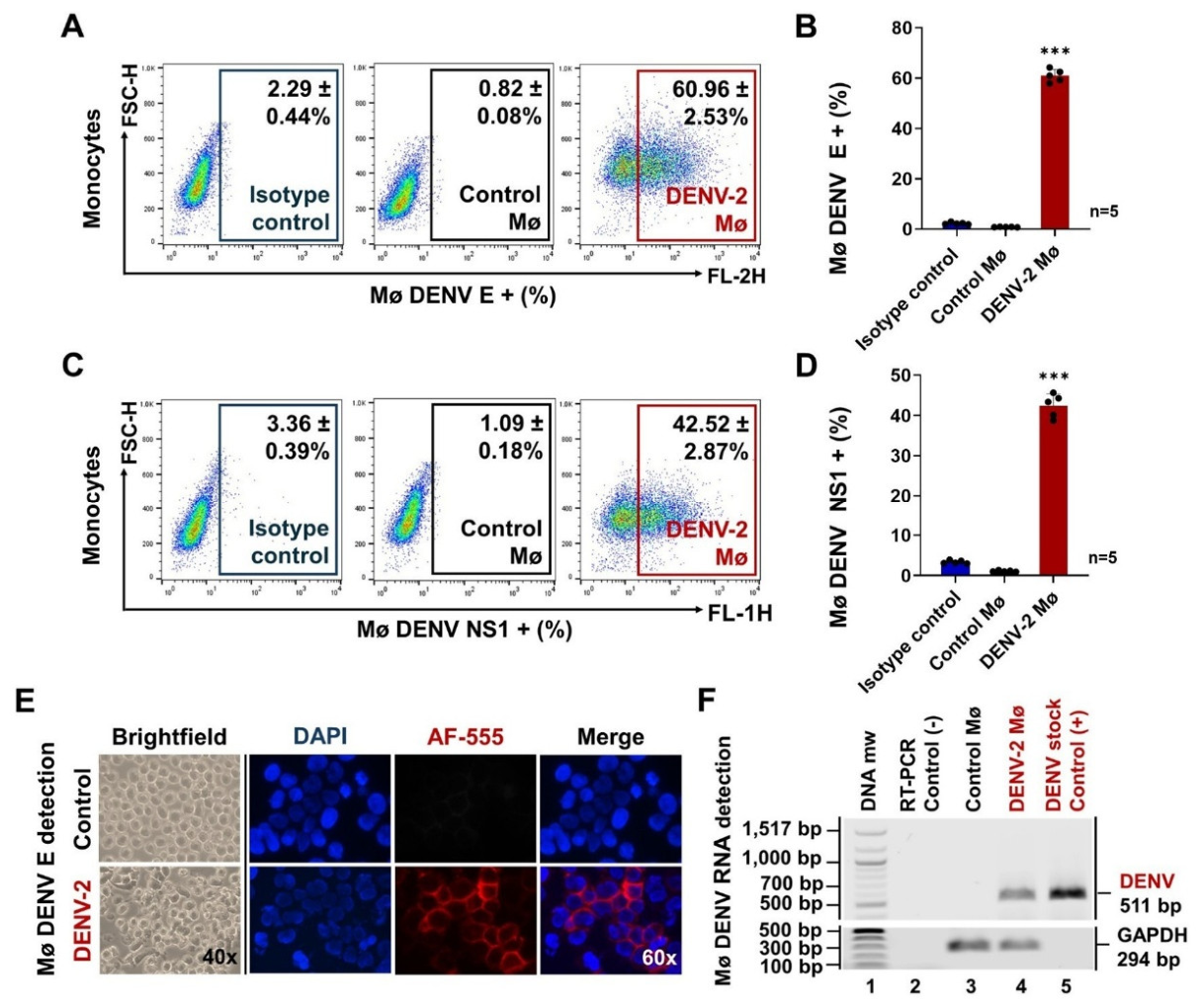 Preprints 211108 g001 Preprints 211108 g001