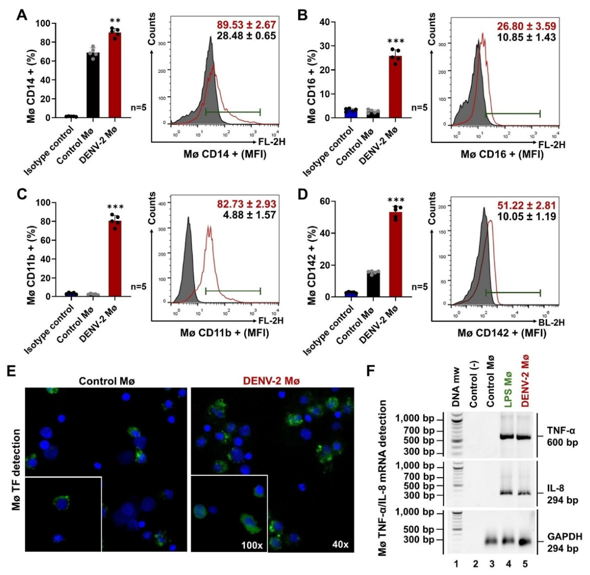 Preprints 211108 g002 Preprints 211108 g002