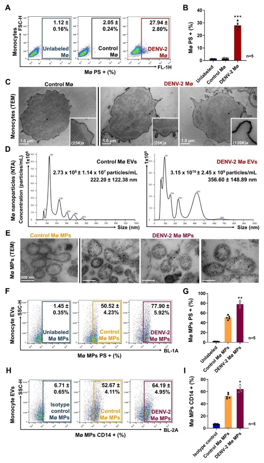 Preprints 211108 g003 Preprints 211108 g003