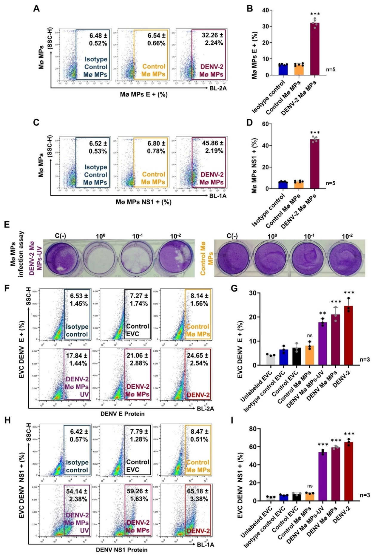 Preprints 211108 g004 Preprints 211108 g004
