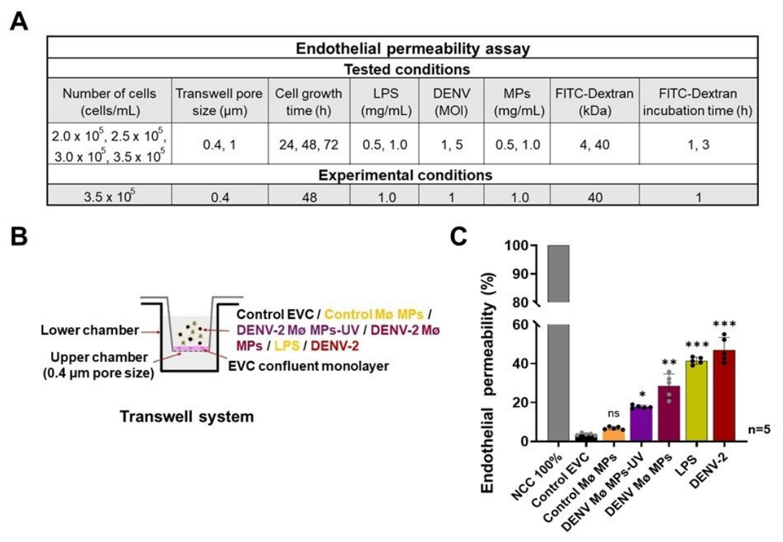 Preprints 211108 g006 Preprints 211108 g006