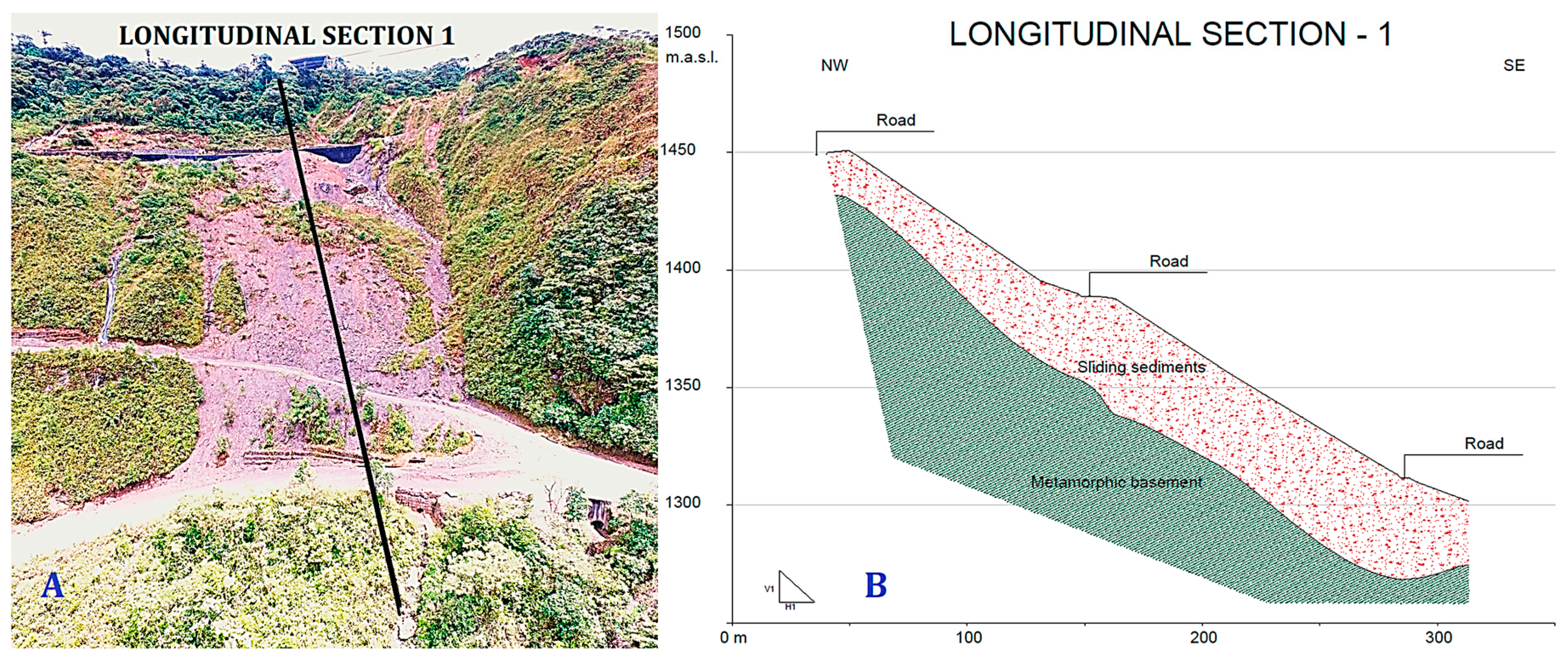 Preprints 139663 g010