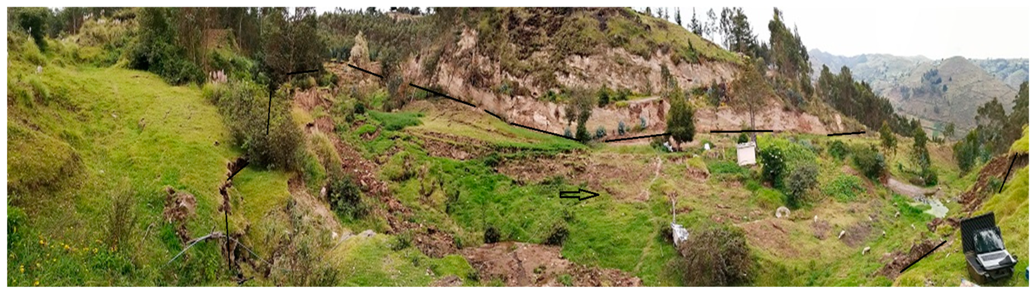 Preprints 139663 g012